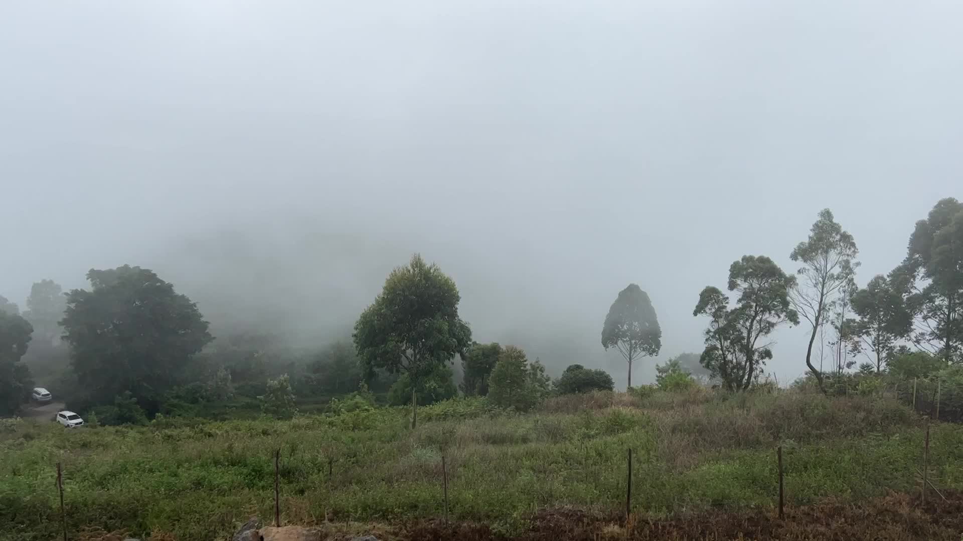 Thick fog high in the mountains in Dindigul
