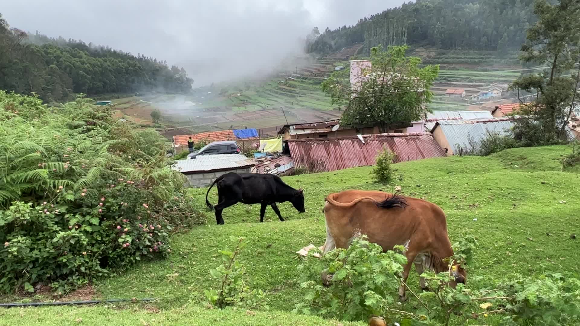 Daily life in Mannavanur Village