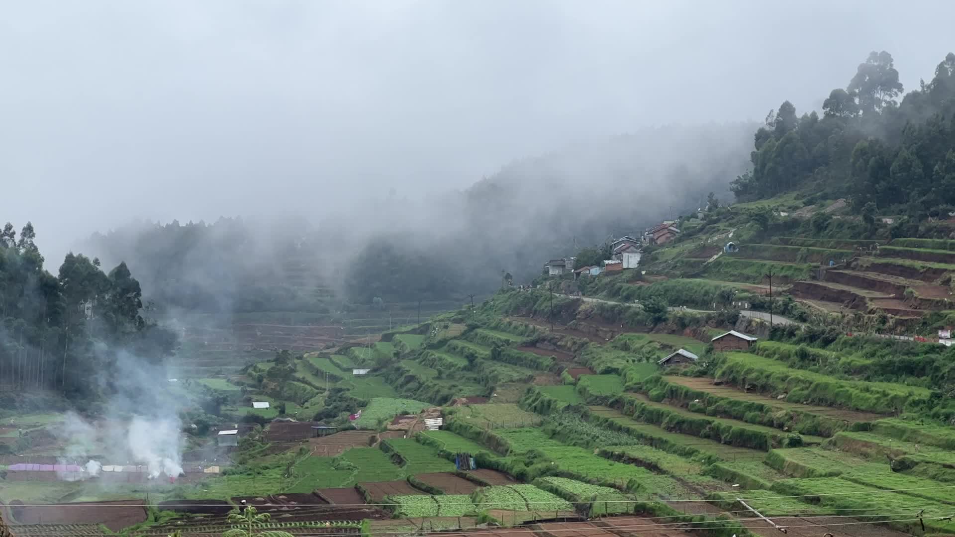Daily life in Mannavanur Village