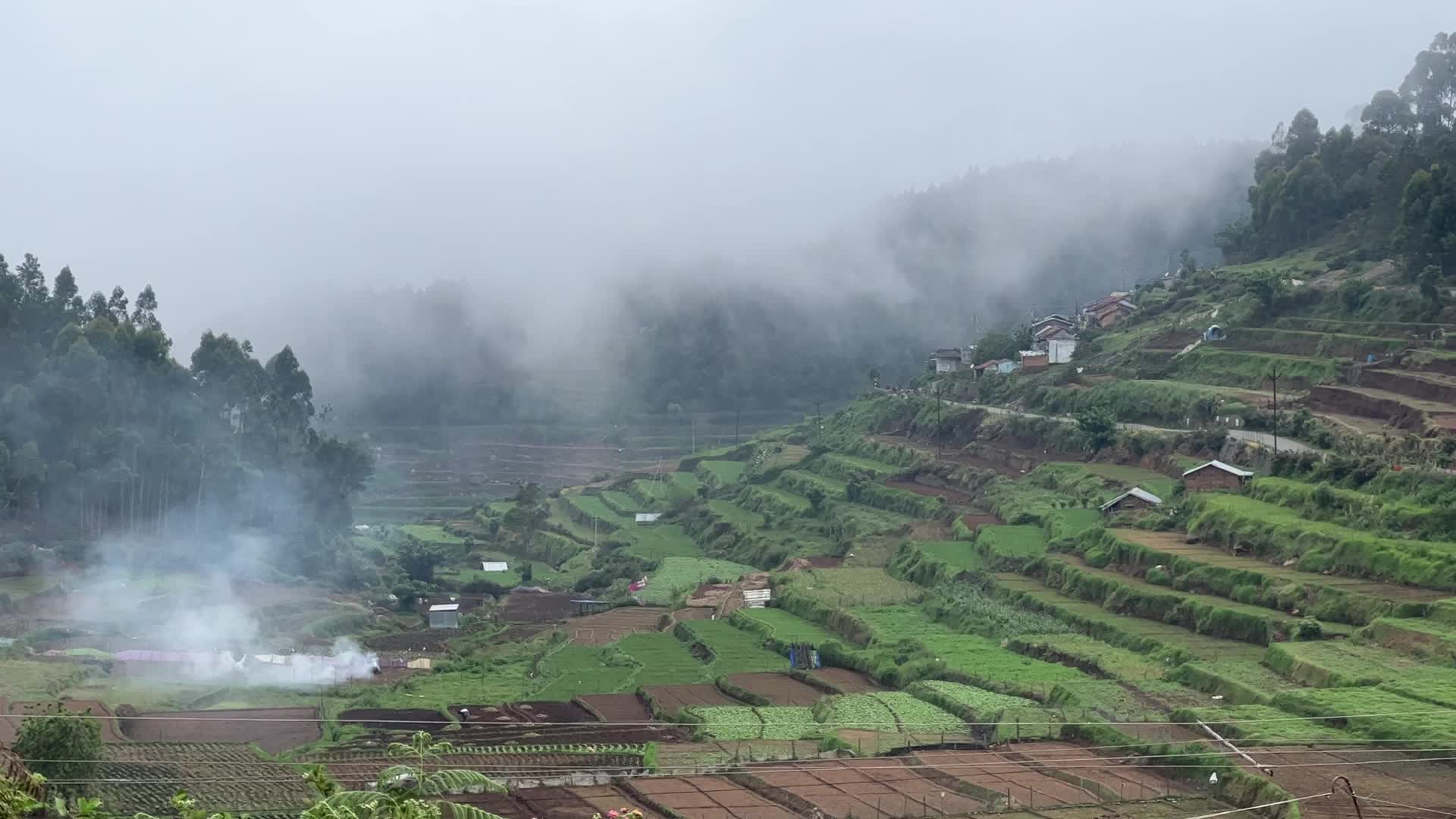 Daily life in Mannavanur Village