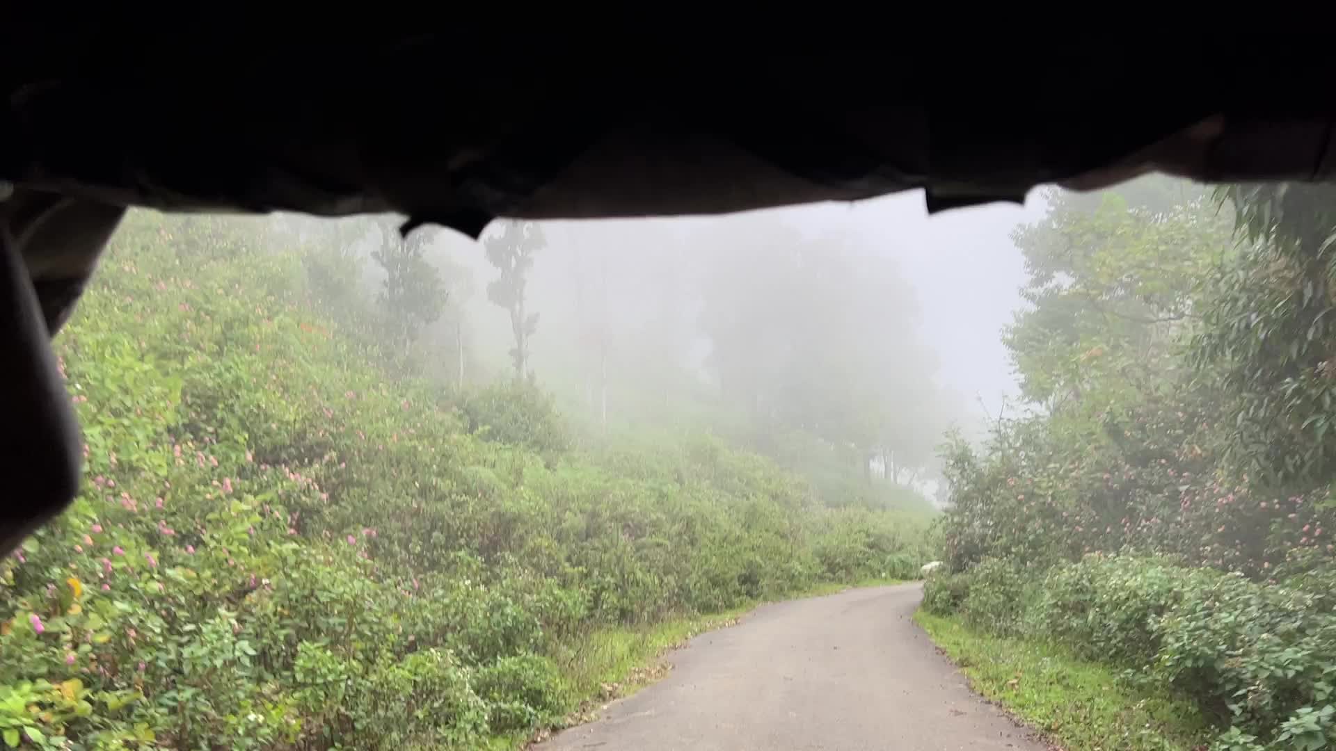 Thick Fog High In The Mountains In Dindigul
