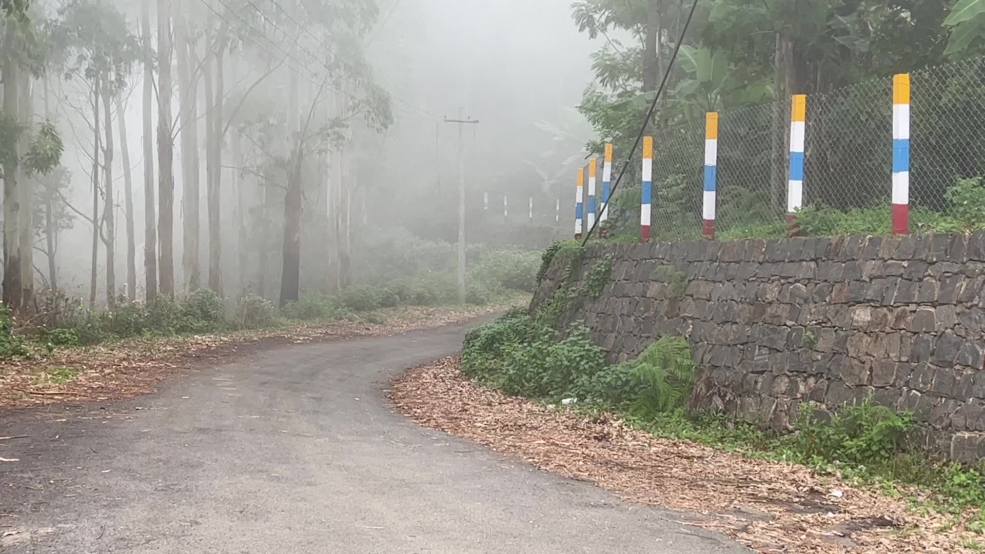 Thick Fog High In The Mountains In Dindigul