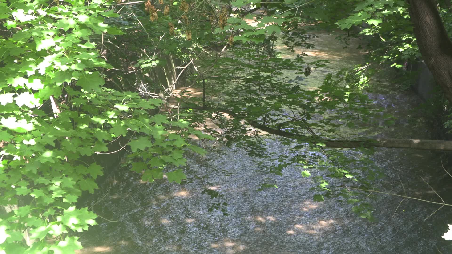 Newark: Water main break in Belleville causes water emergency 