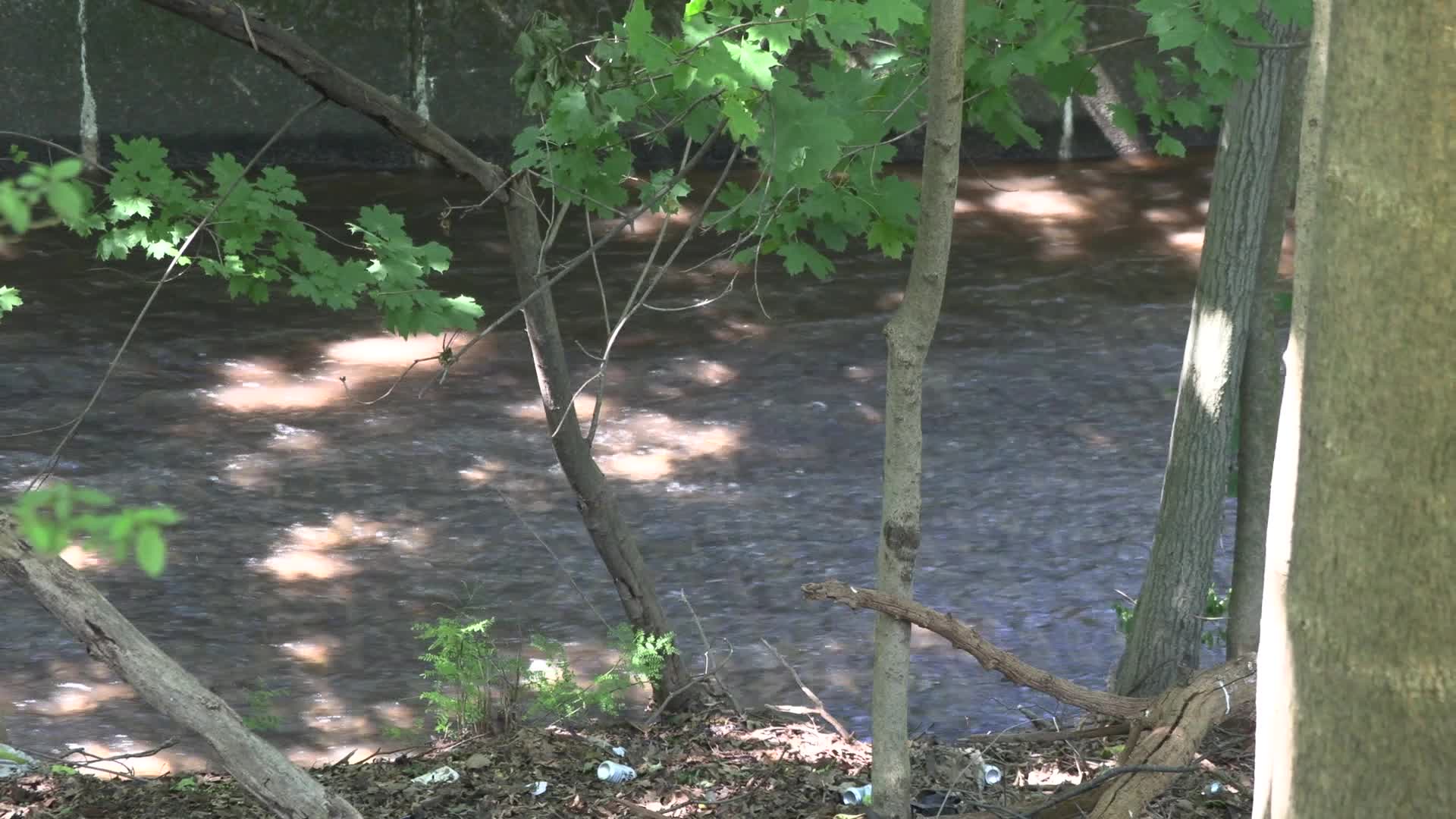 Newark: Water main break in Belleville causes water emergency 