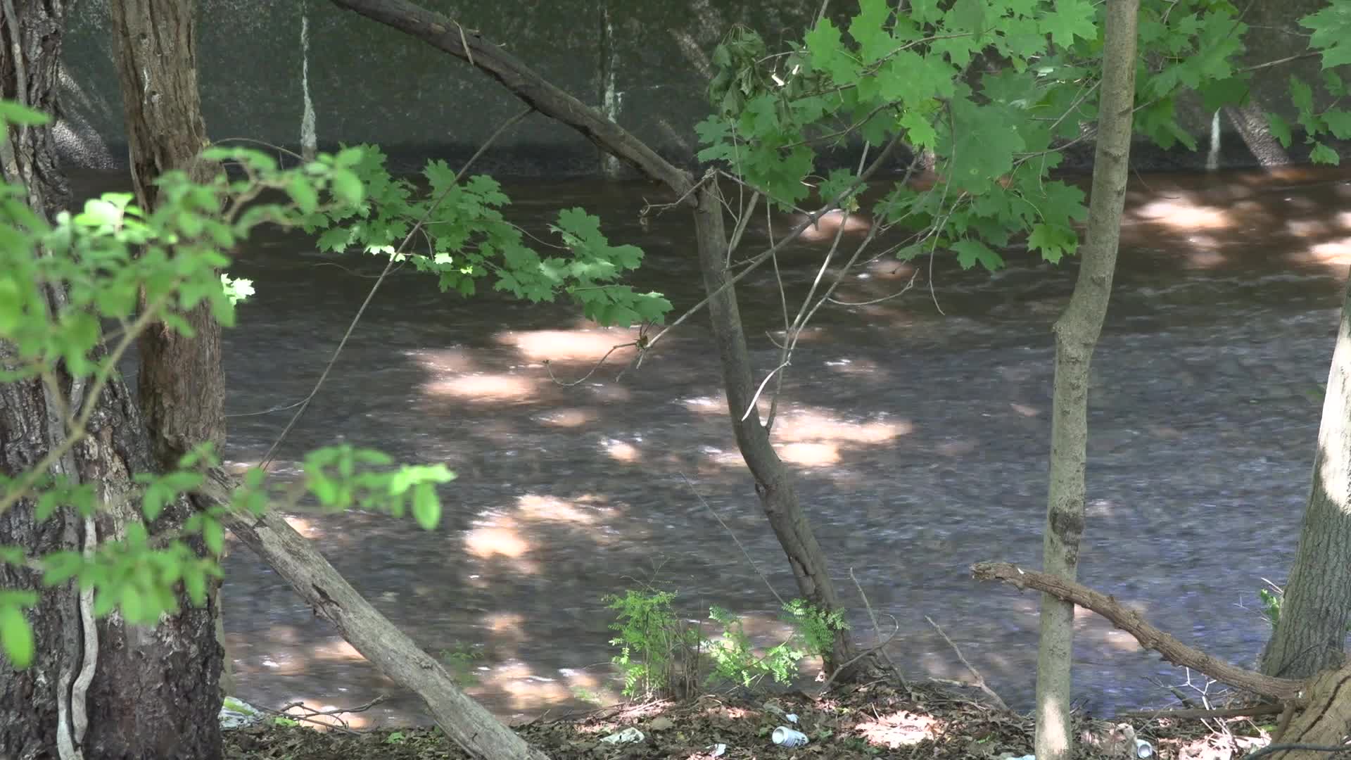 Newark: Water main break in Belleville causes water emergency 