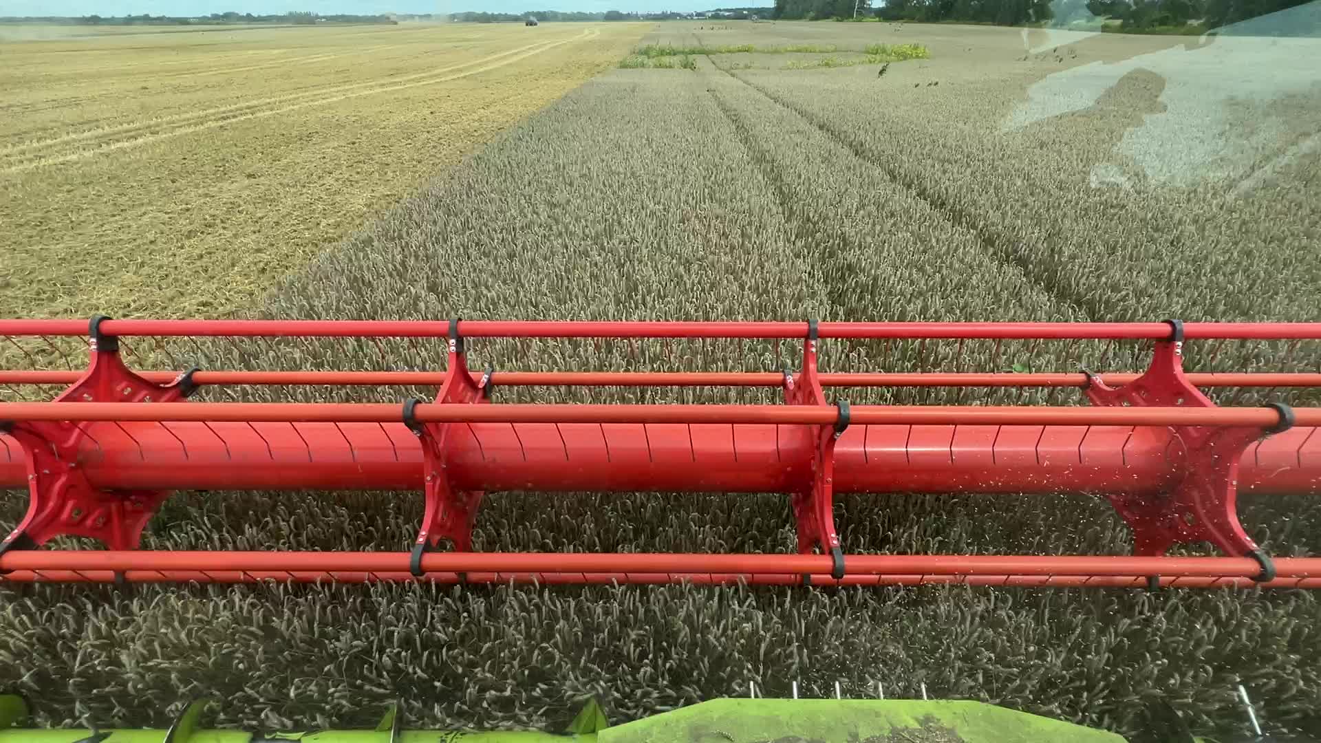 Harvesting Of Wheat In The Kyiv Region, While Russia Continues The War Against Ukraine