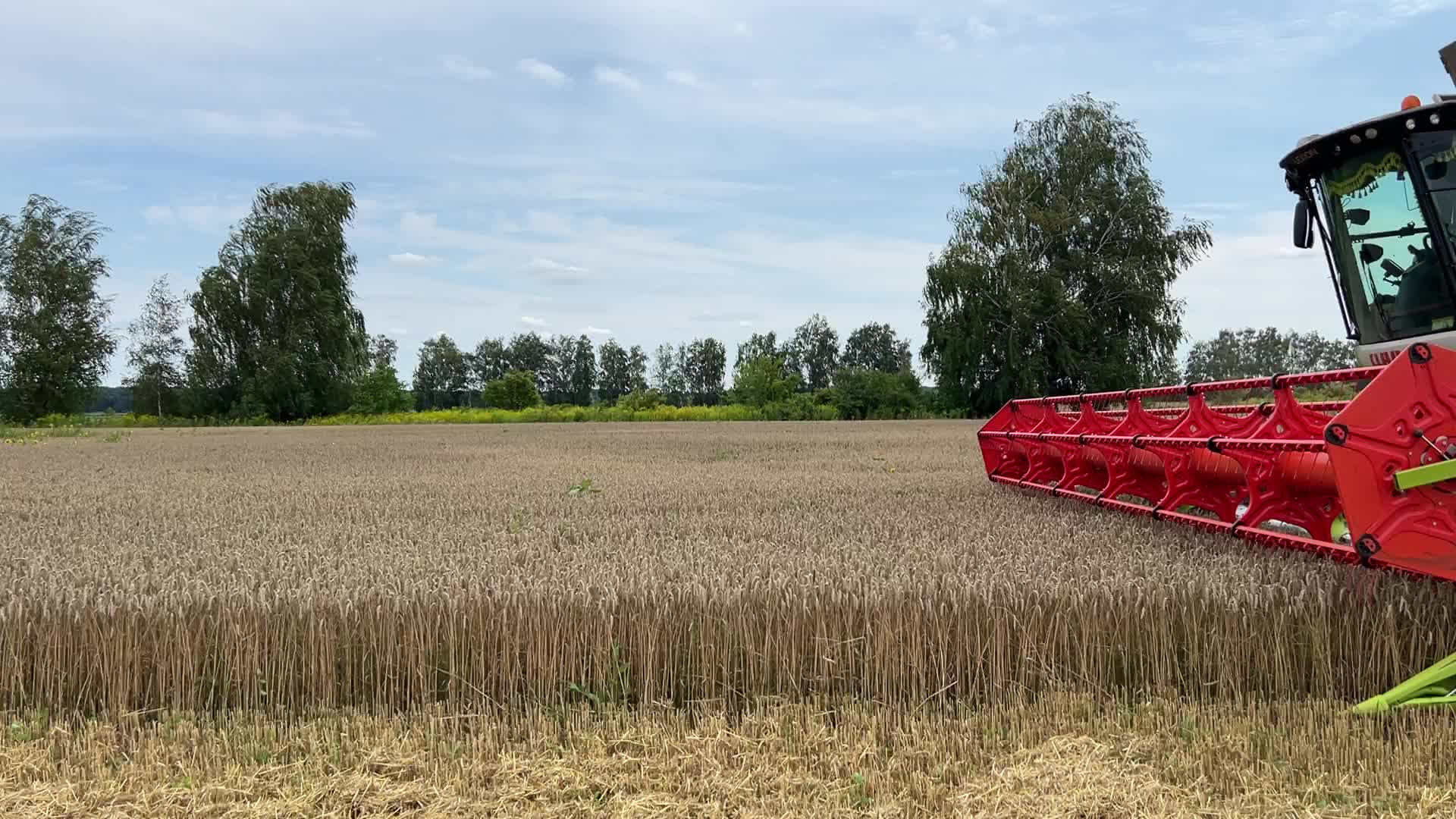 Harvesting Of Wheat In The Kyiv Region, While Russia Continues The War Against Ukraine