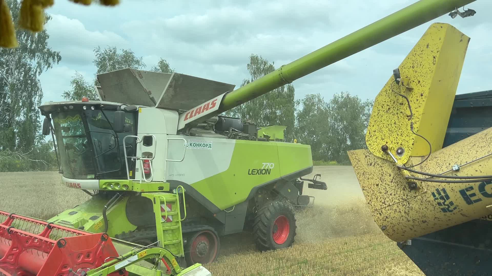 Harvesting Of Wheat In The Kyiv Region, While Russia Continues The War Against Ukraine