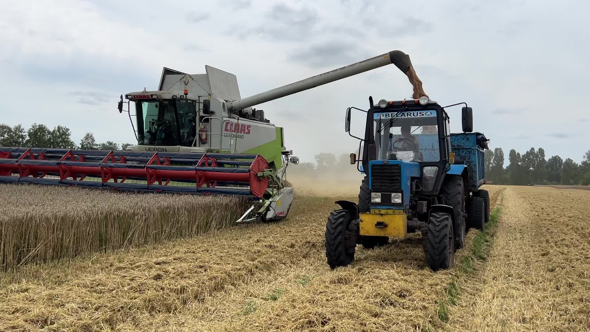 Harvesting Of Wheat In The Kyiv Region, While Russia Continues The War Against Ukraine
