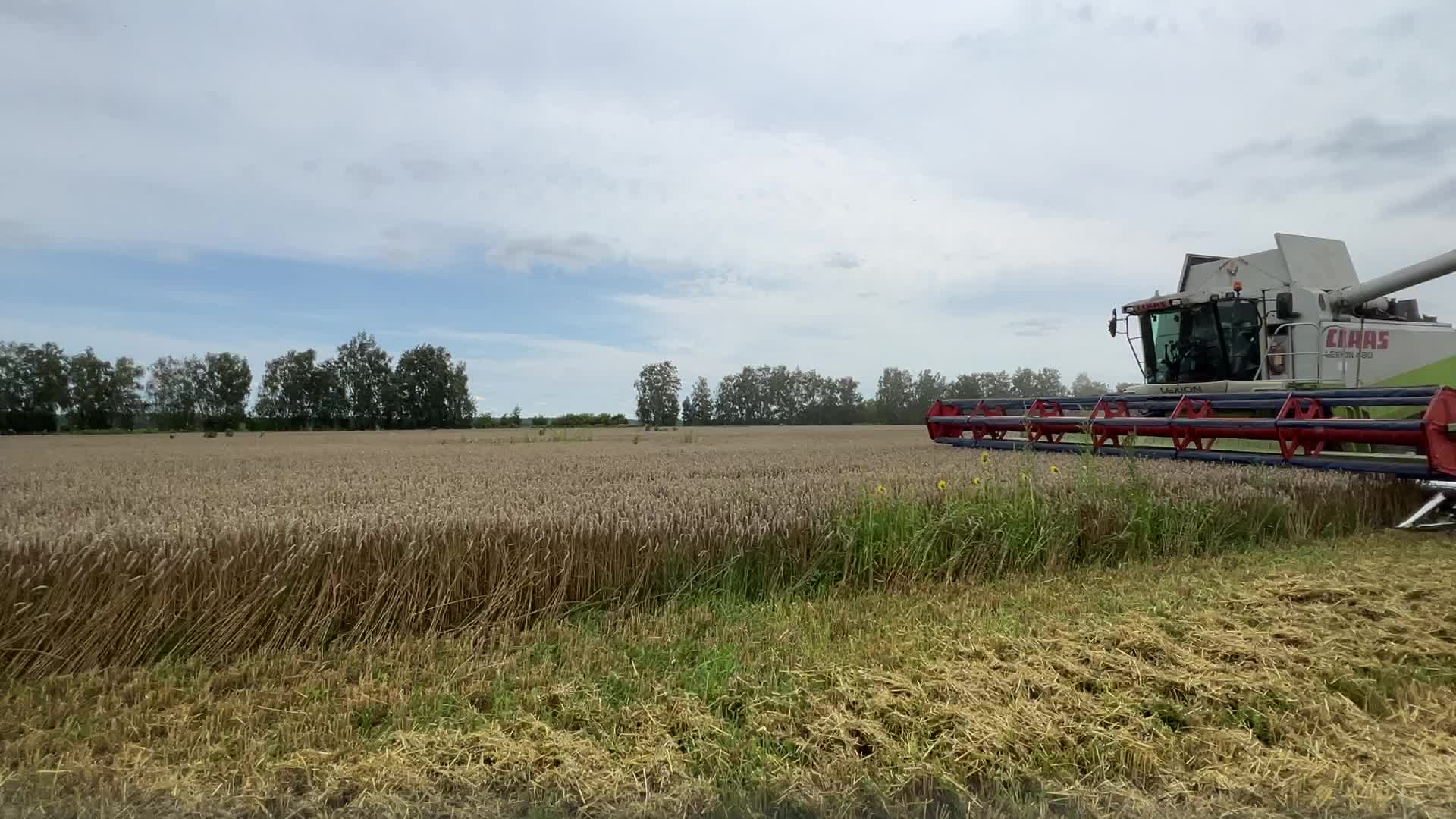 Harvesting Of Wheat In The Kyiv Region, While Russia Continues The War Against Ukraine