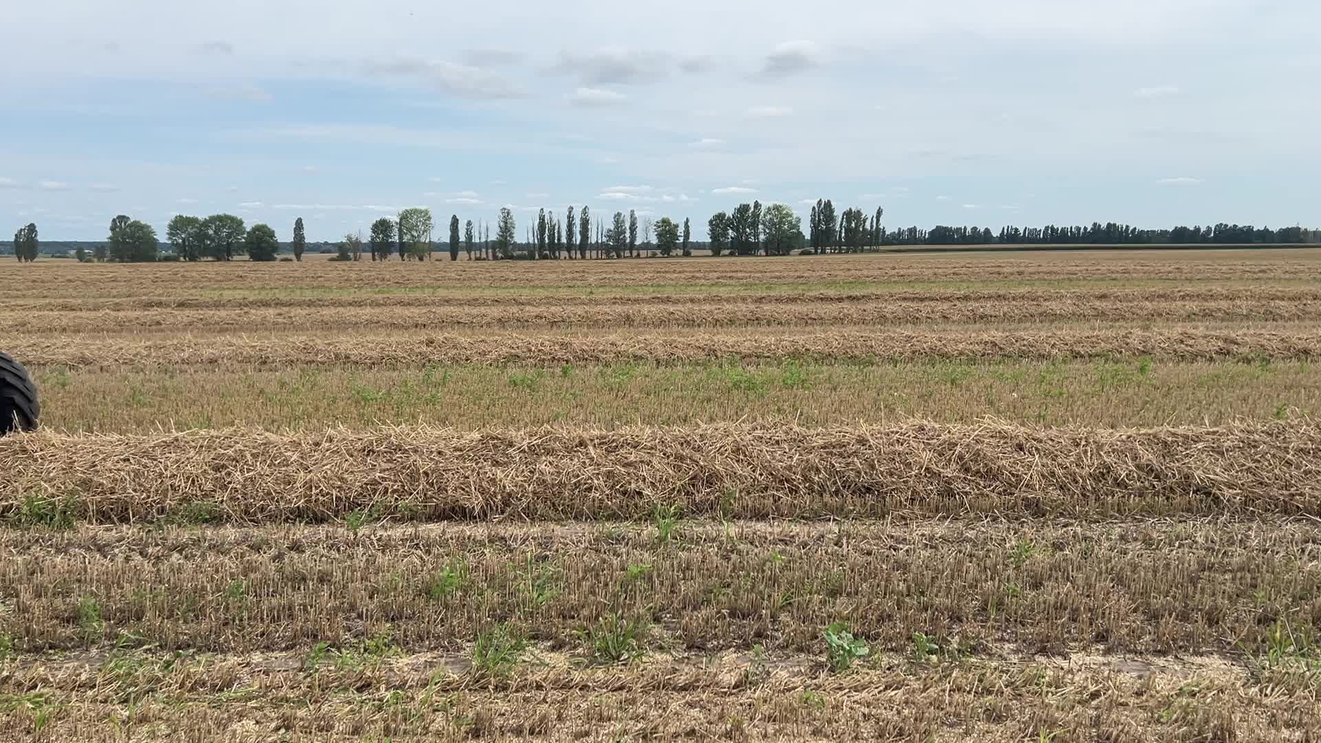 Harvesting Of Wheat In The Kyiv Region, While Russia Continues The War Against Ukraine