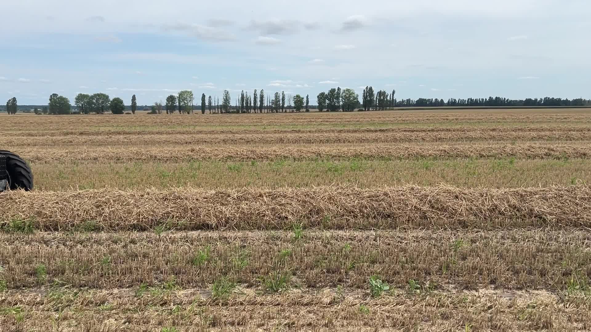 Harvesting Of Wheat In The Kyiv Region, While Russia Continues The War Against Ukraine