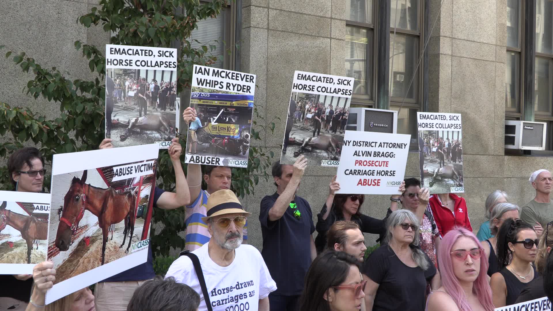 NY: Presser to Prosecute Carriage Horse Abuse