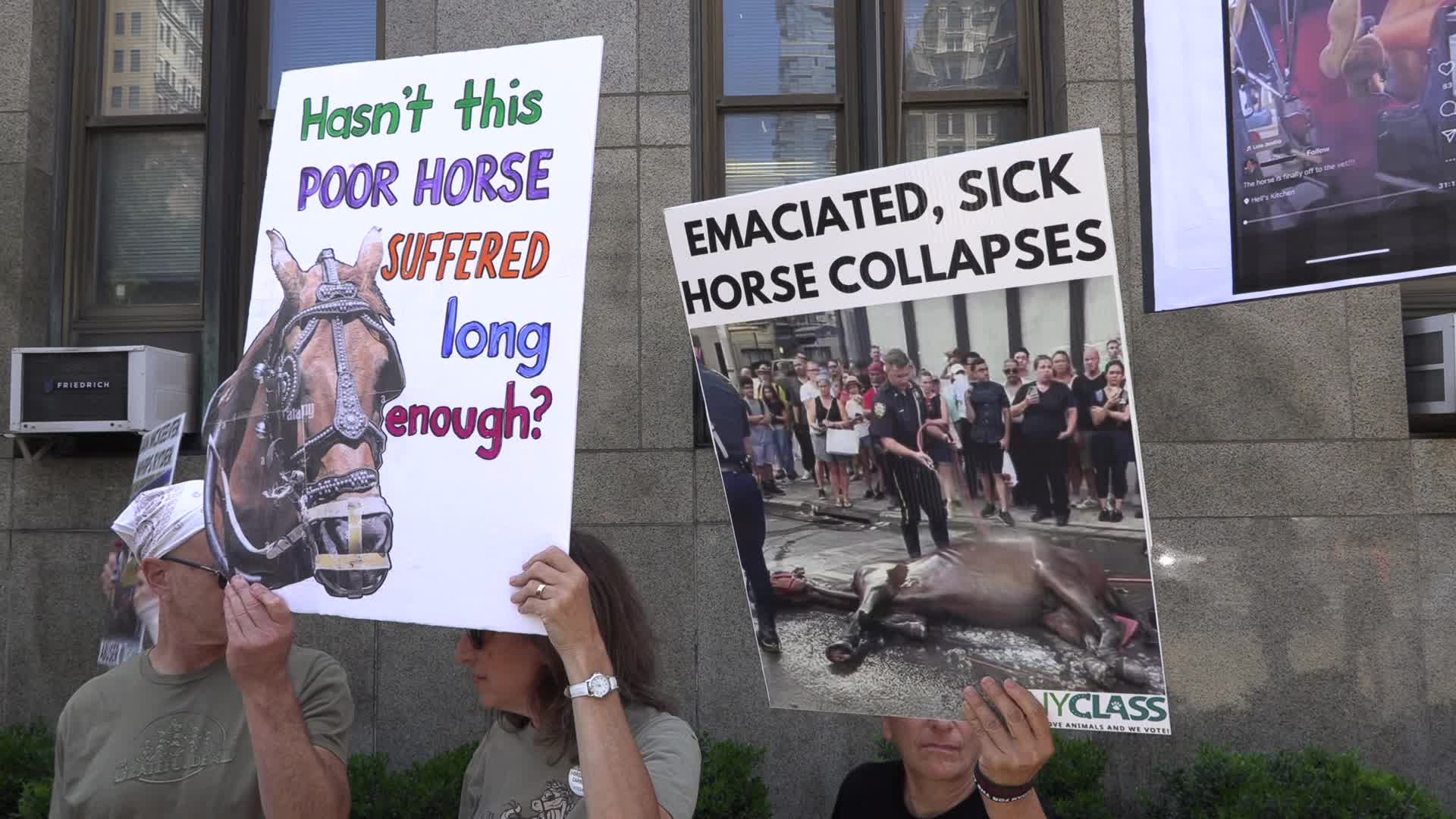 NY: Presser to Prosecute Carriage Horse Abuse