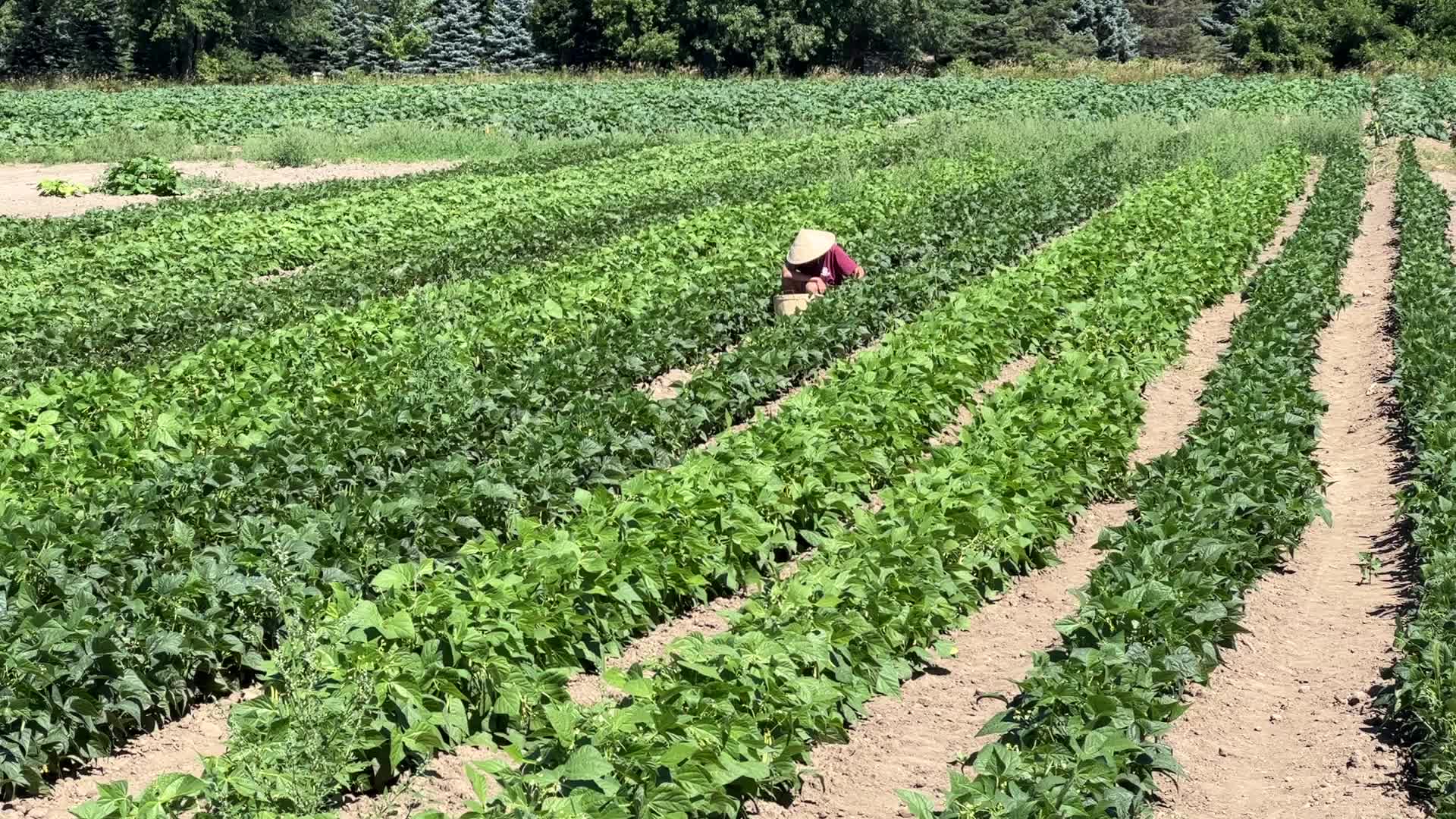 Agriculture in Canada