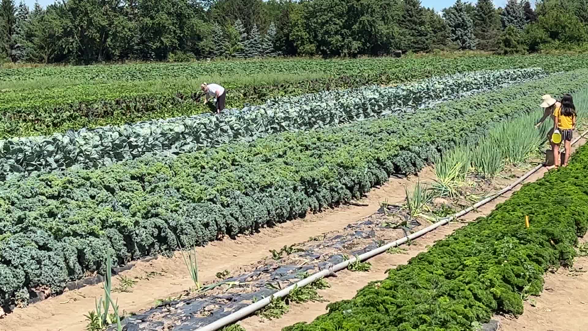 Agriculture in Canada