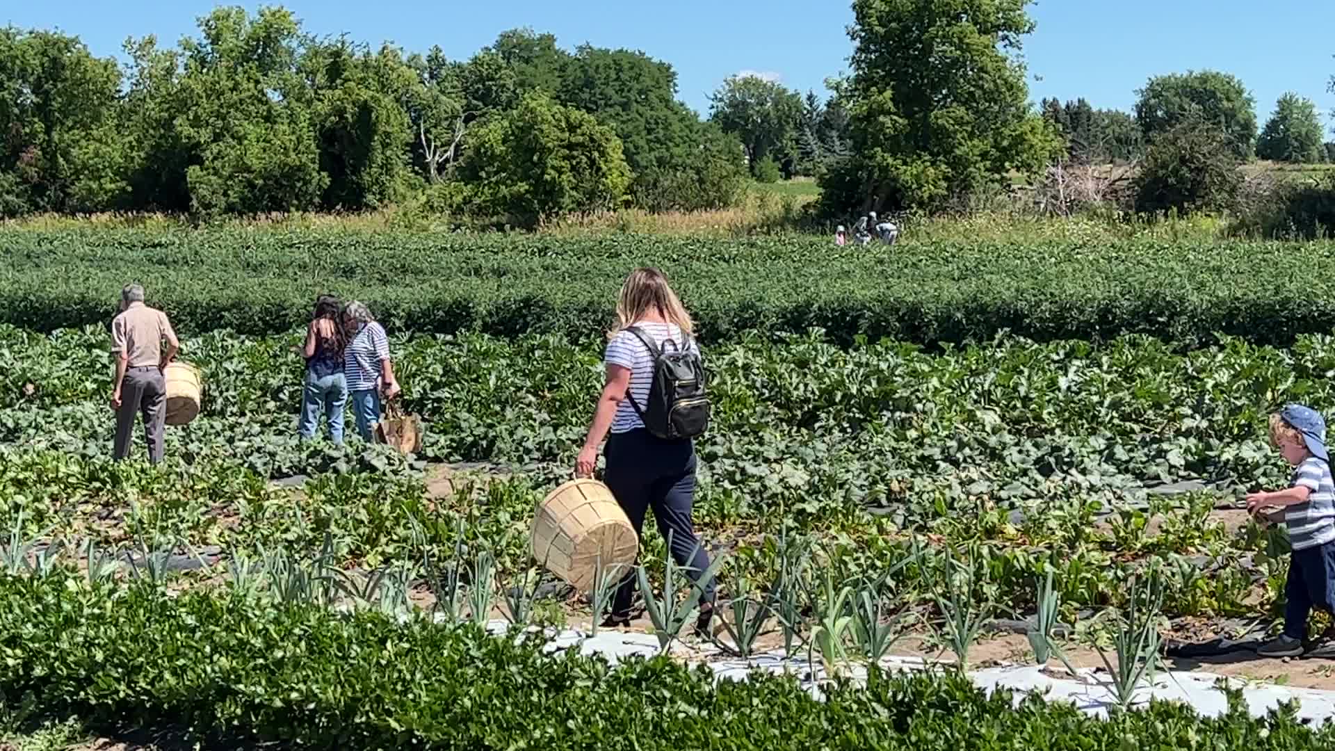Agriculture in Canada