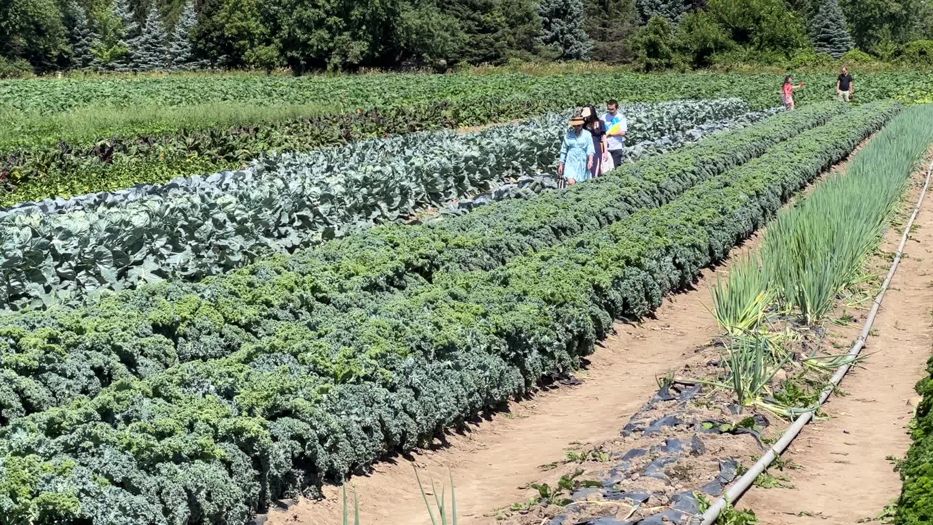 Agriculture in Canada
