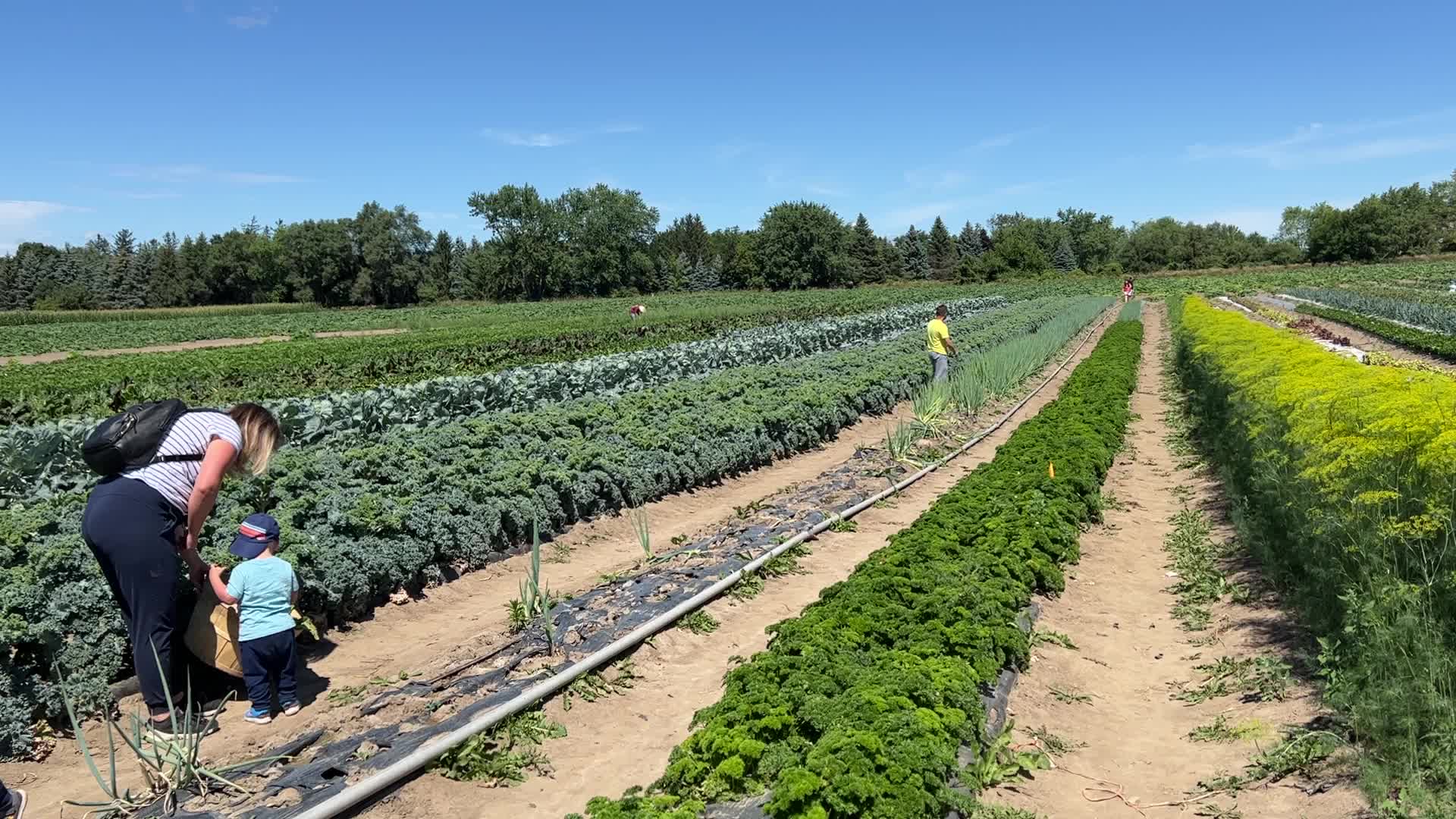 Agriculture in Canada