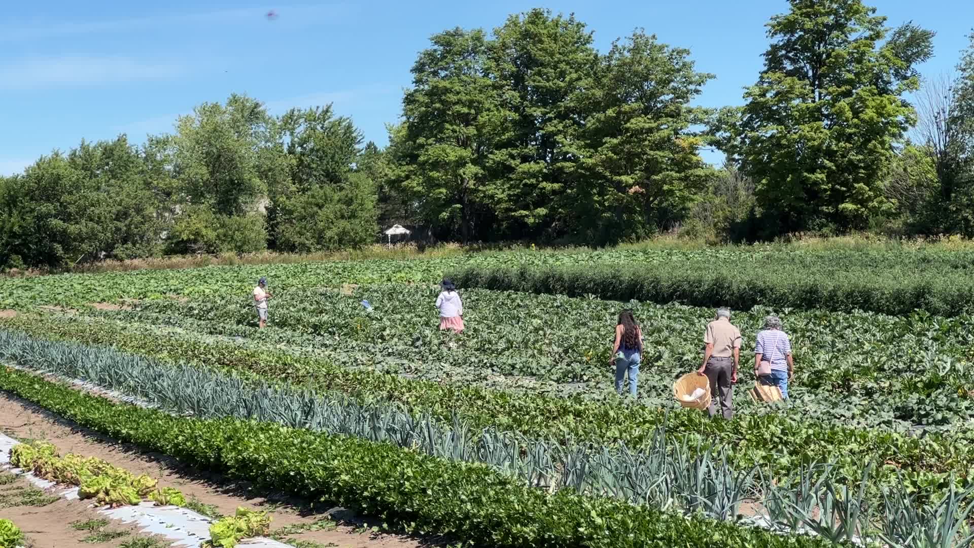 Agriculture in Canada