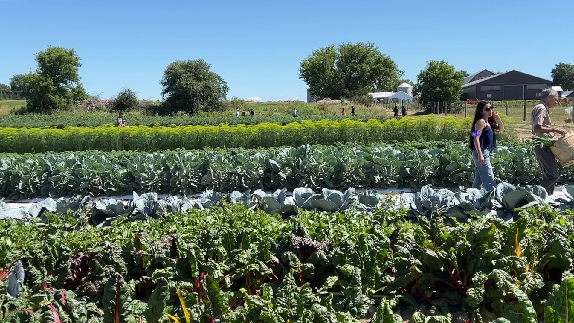 Agriculture in Canada