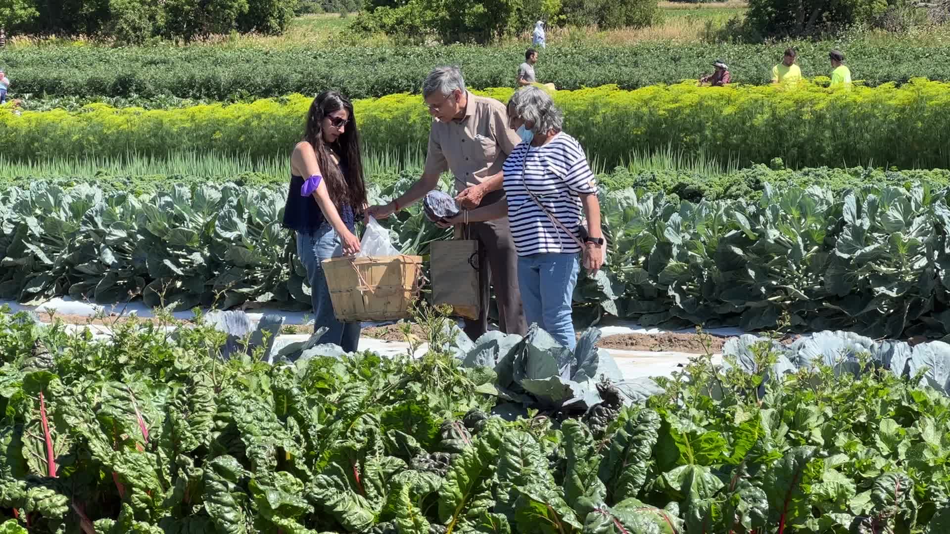 Agriculture in Canada