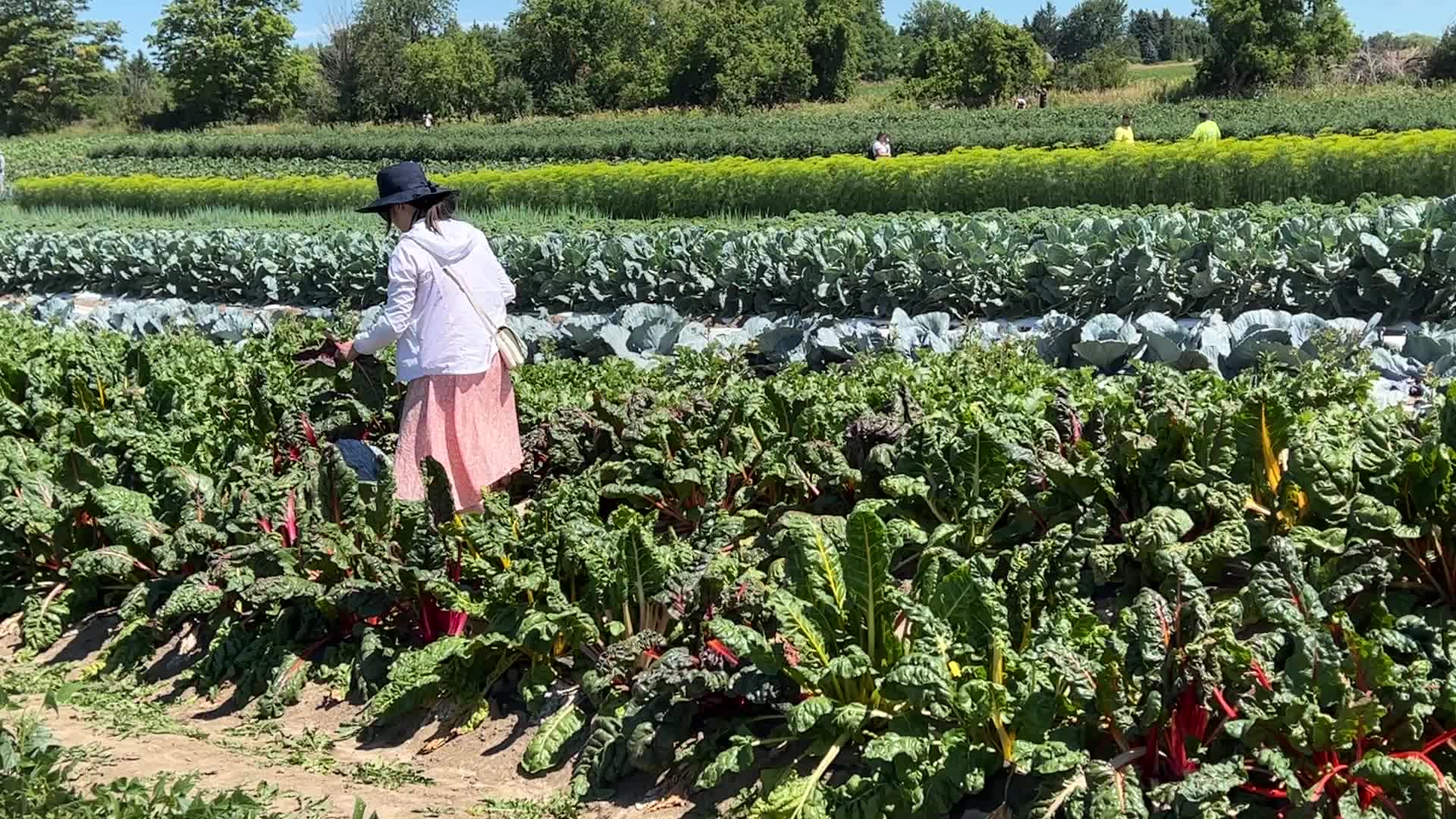 Agriculture in Canada