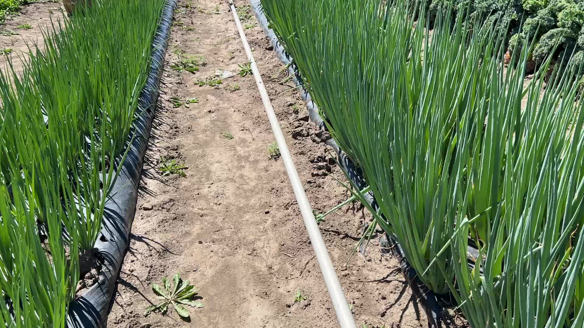 Agriculture in Canada