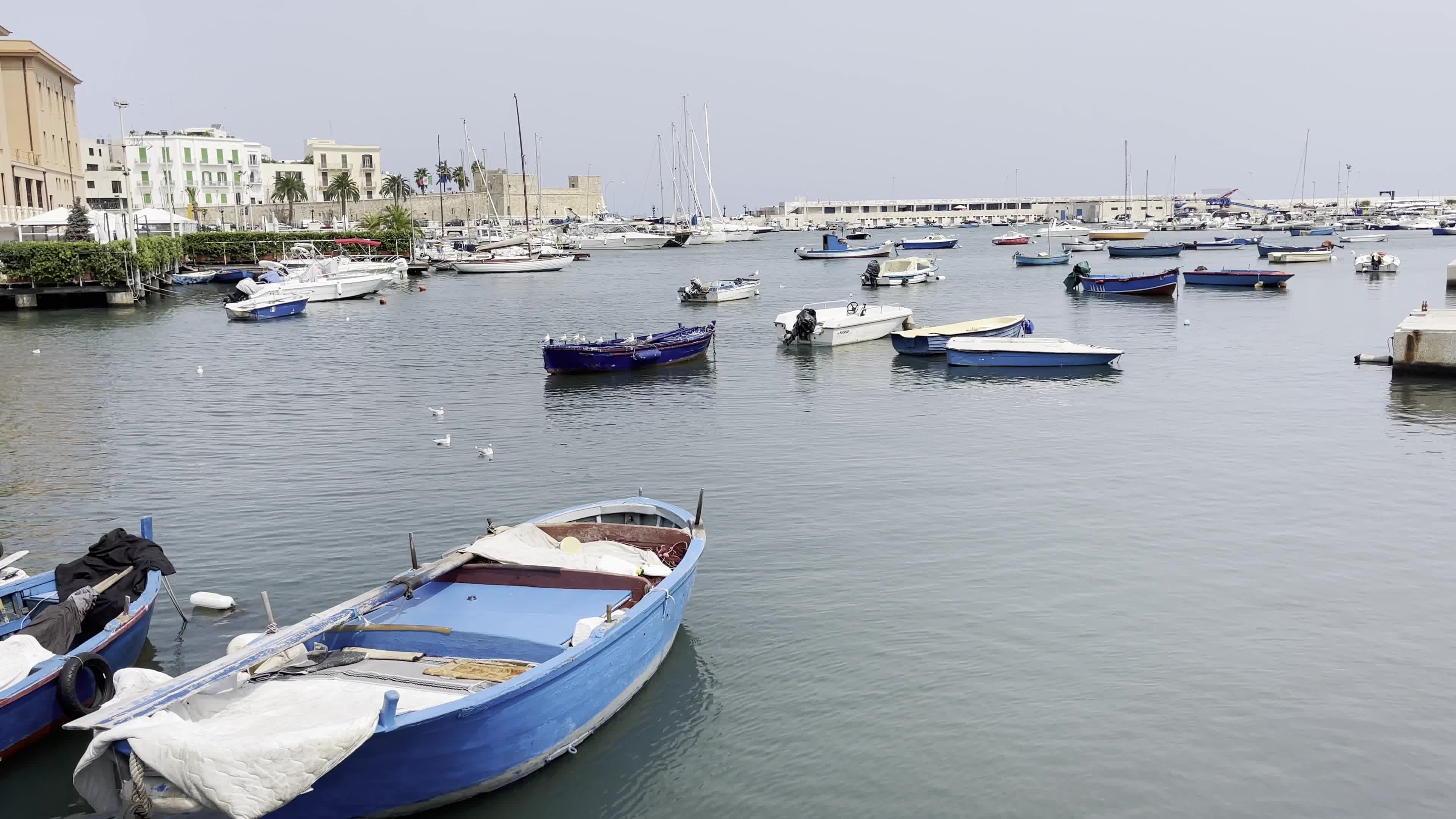 Daily Life In Bari, Italy