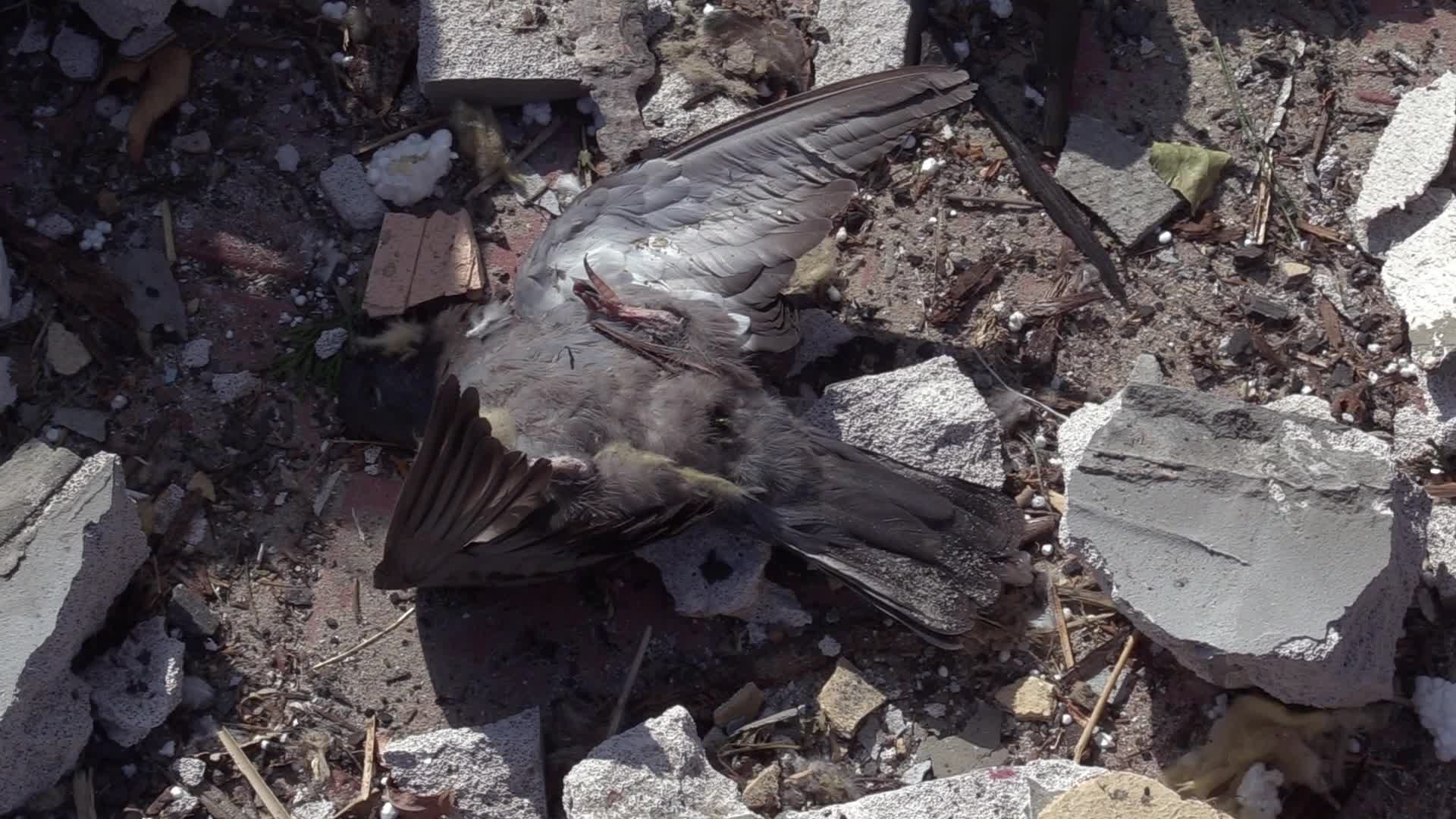 Aftermath of a rocket strike in Odesa region, amid Russia's invasion of Ukraine