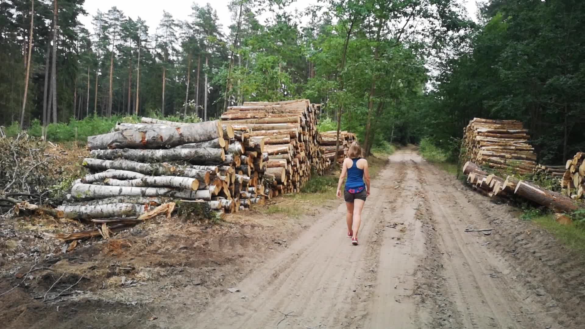 State Forests In Gdansk Resigns FSC Certification