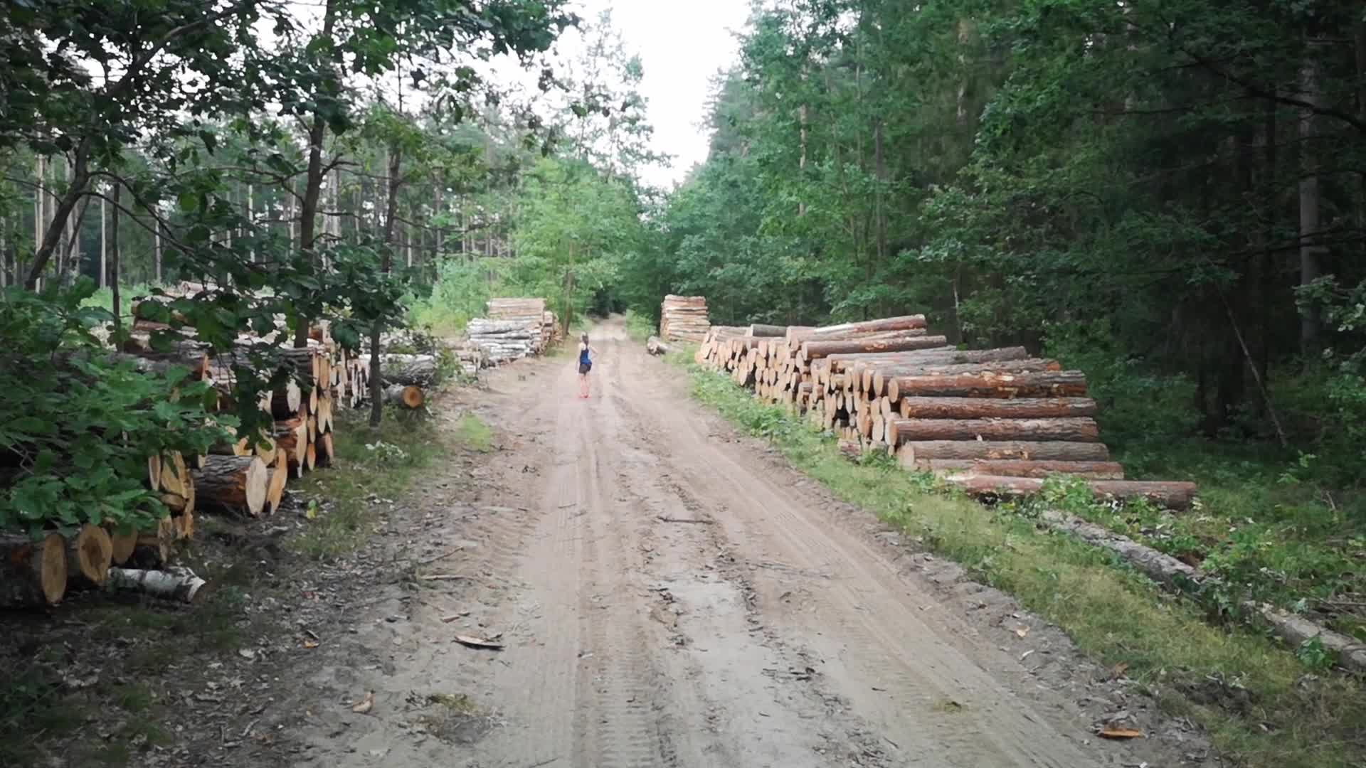 State Forests In Gdansk Resigns FSC Certification
