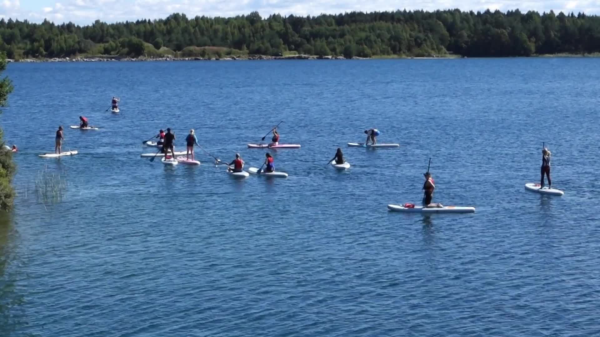 SUP Boards Paddling On Lake In Estonia