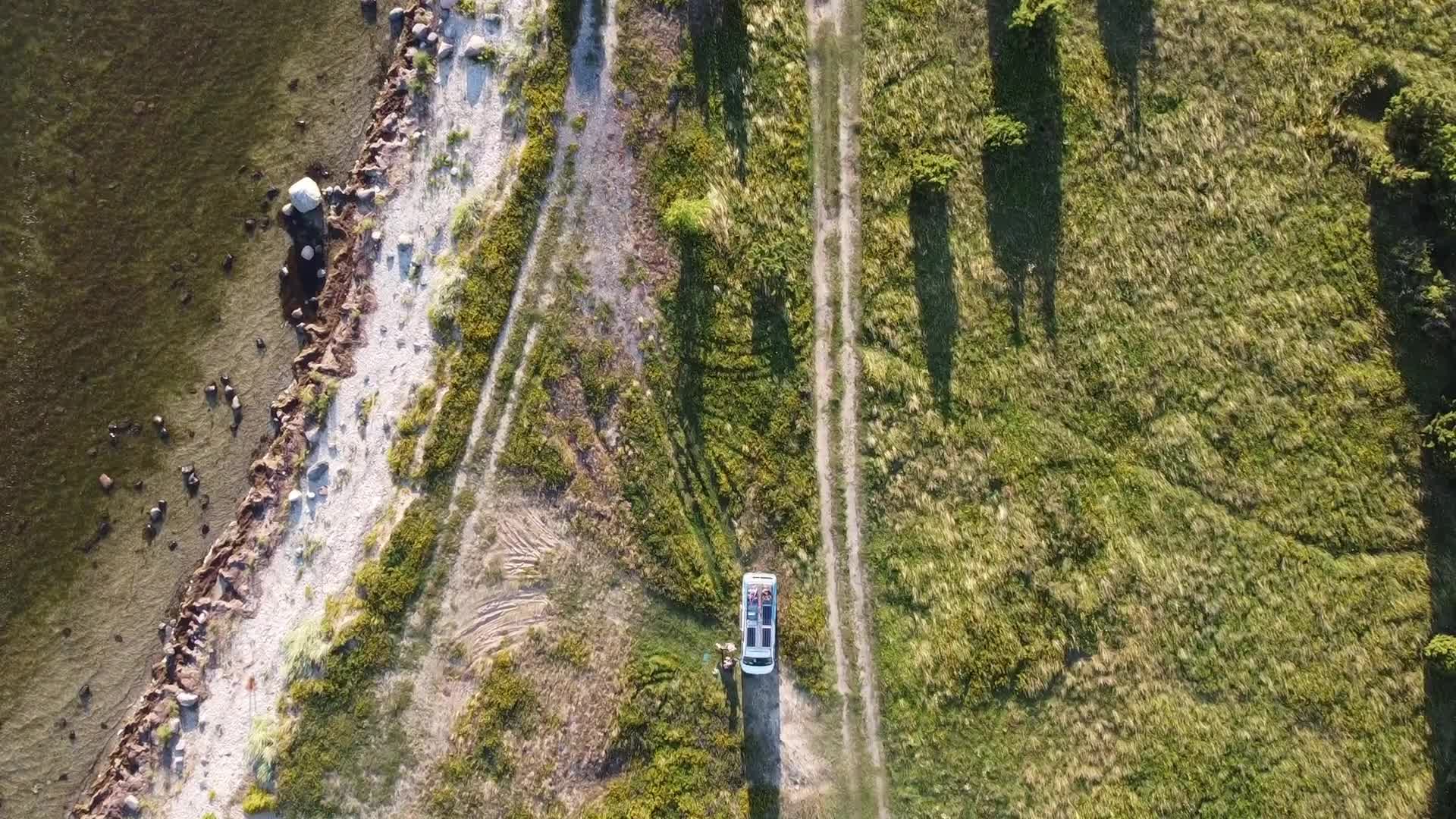 Vanlife in Estonia
