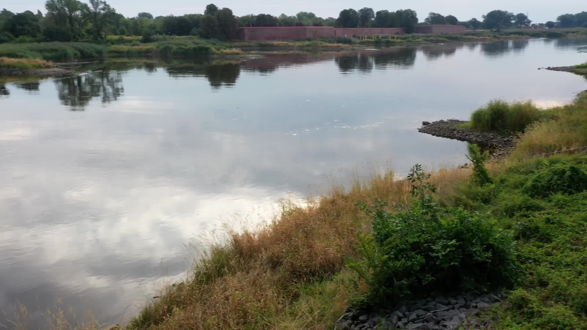 Oder river contaminated on German-Polish Border