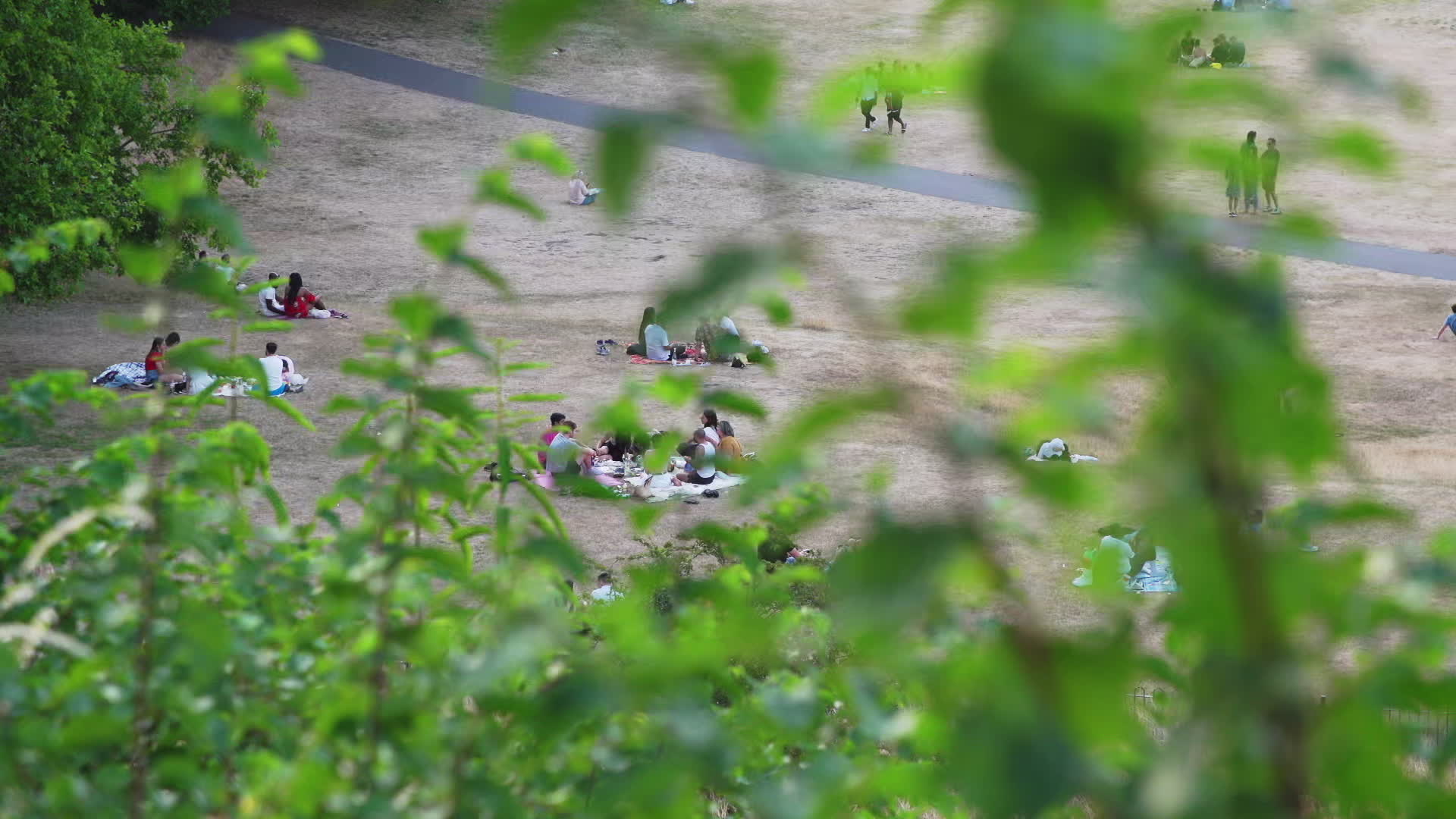 Greenwich Park in London During Heatwave