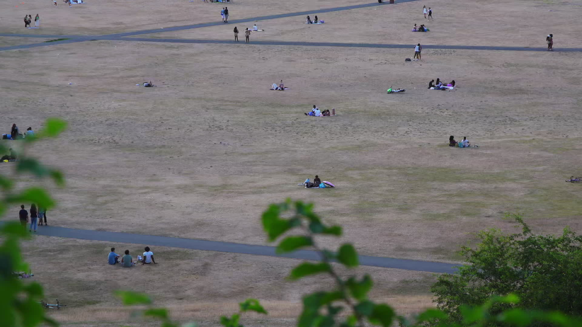 Greenwich Park in London During Heatwave