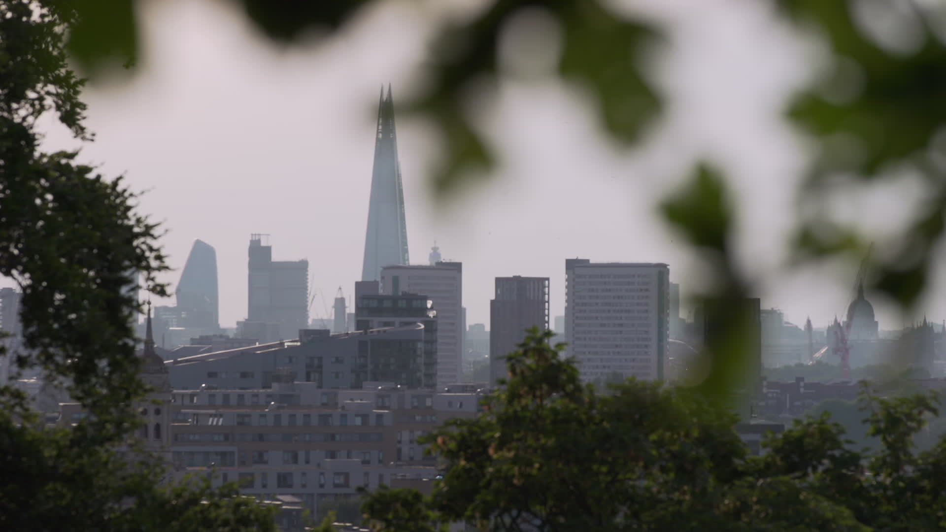 Greenwich Park in London During Heatwave
