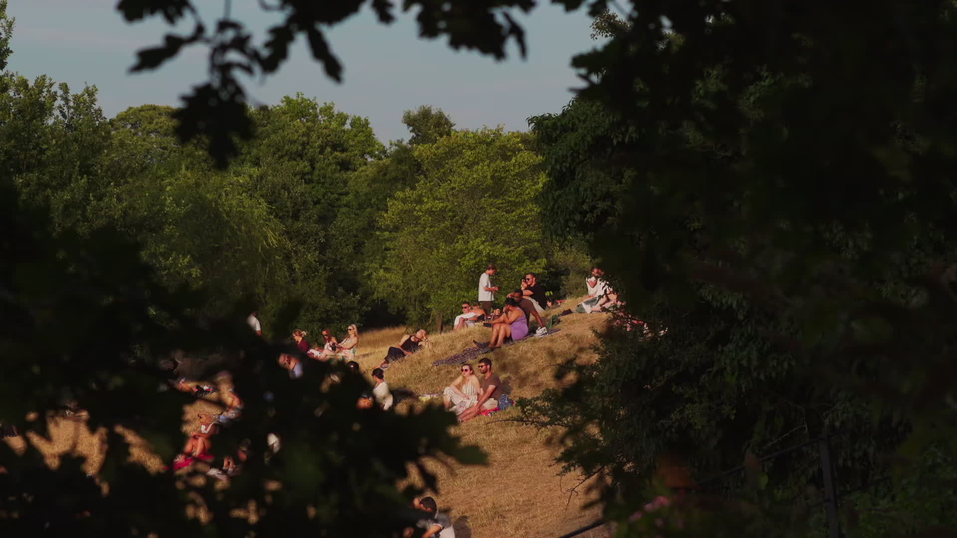 Greenwich Park in London During Heatwave