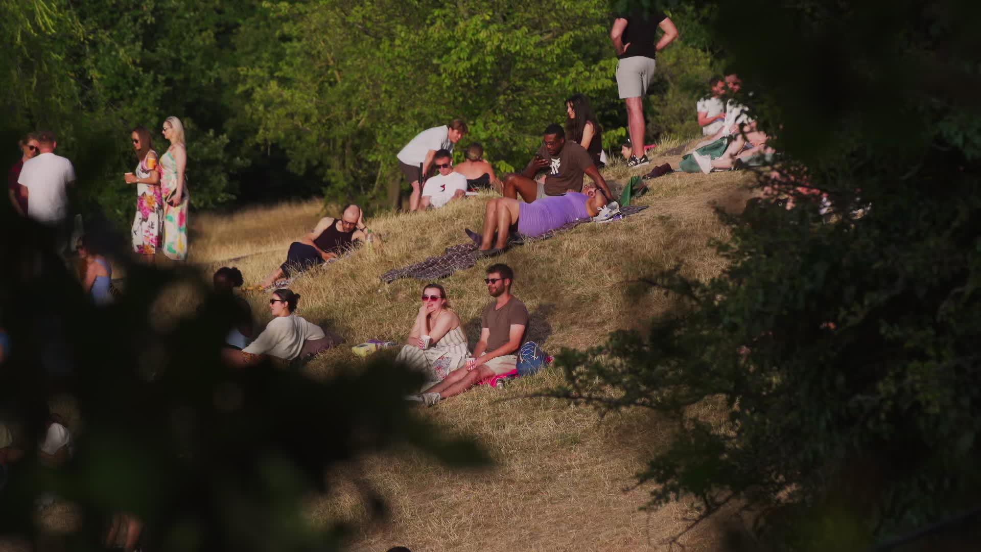 Greenwich Park in London During Heatwave