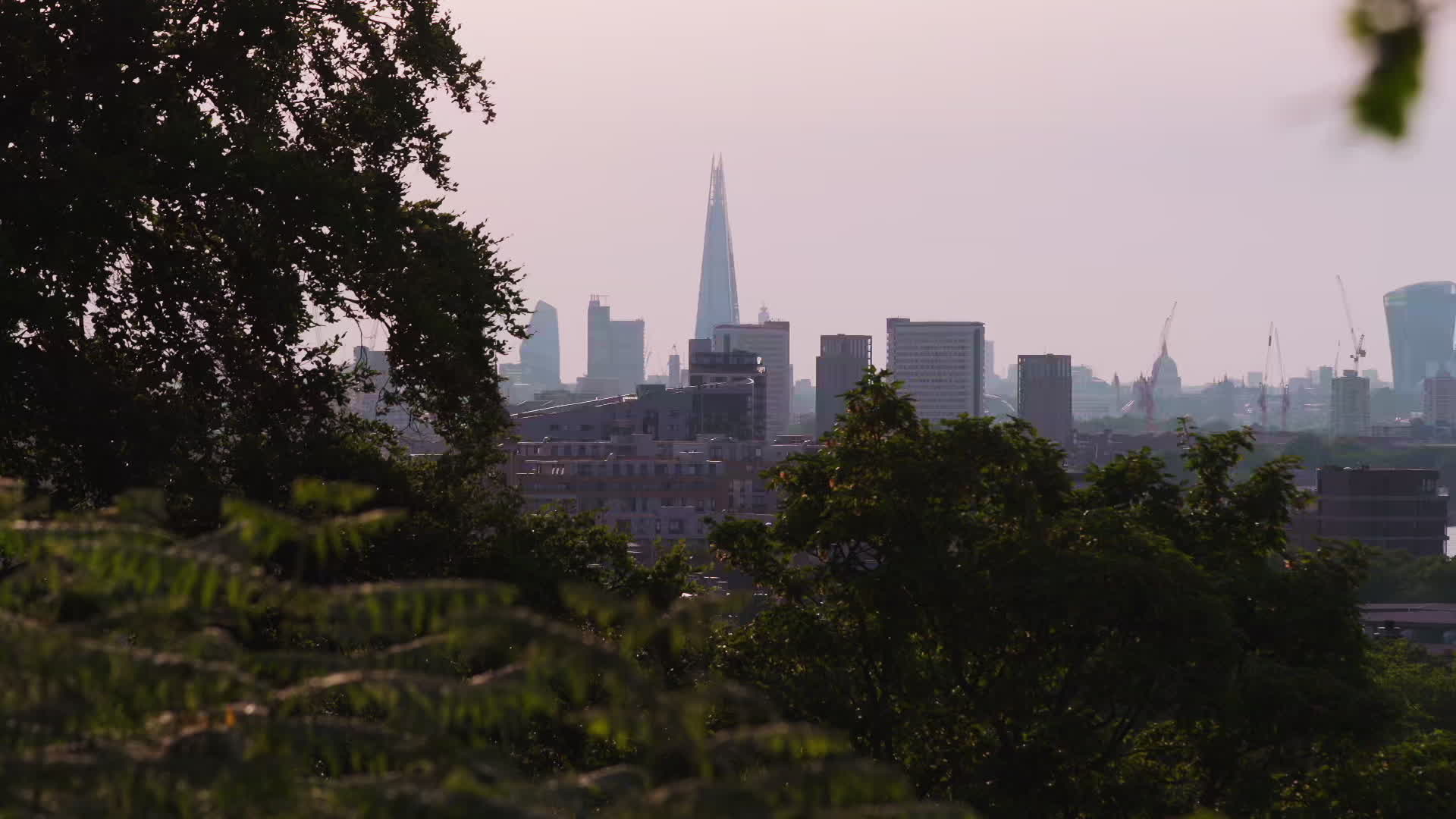 Greenwich Park in London During Heatwave