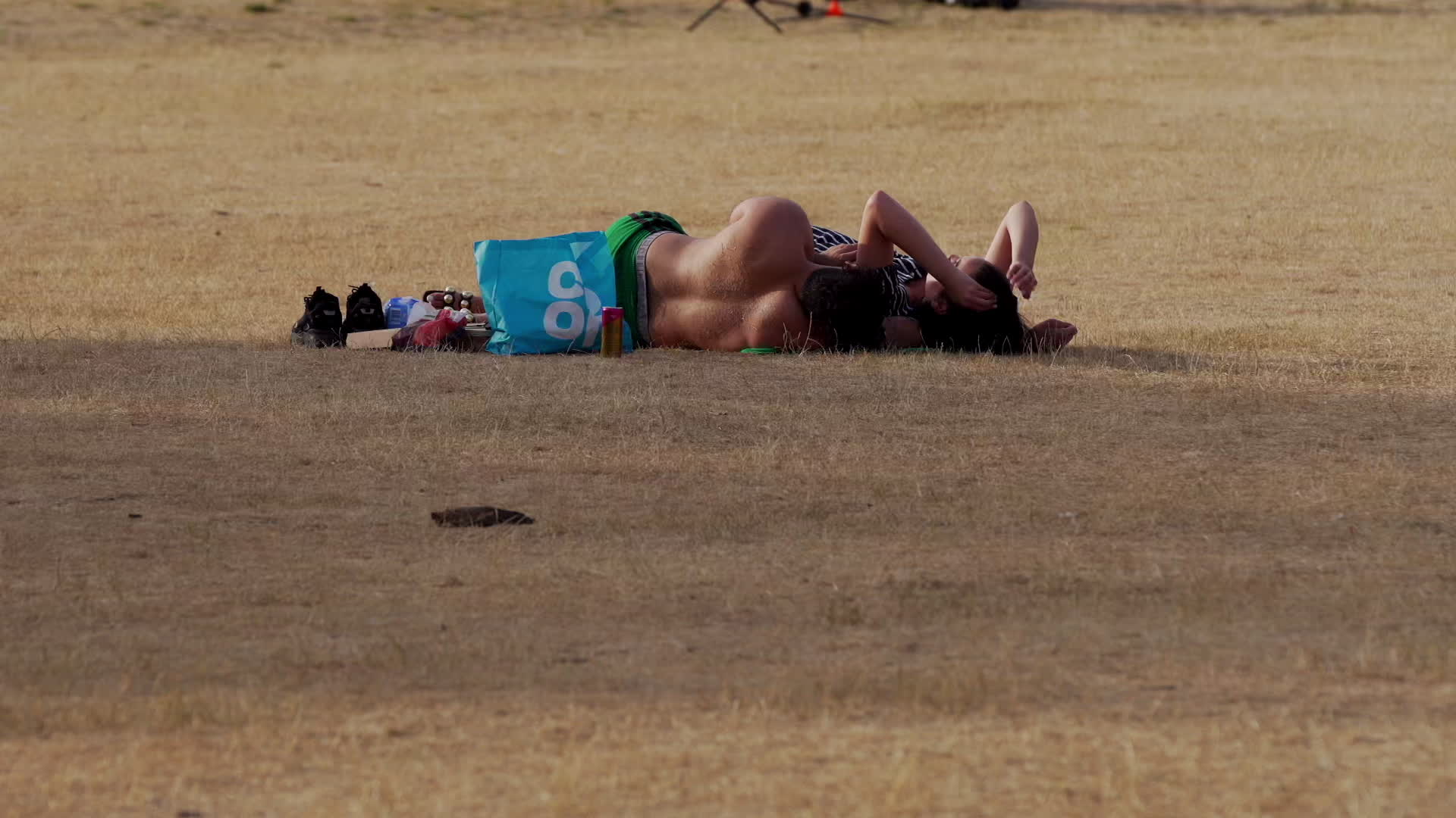 Greenwich Park in London During Heatwave