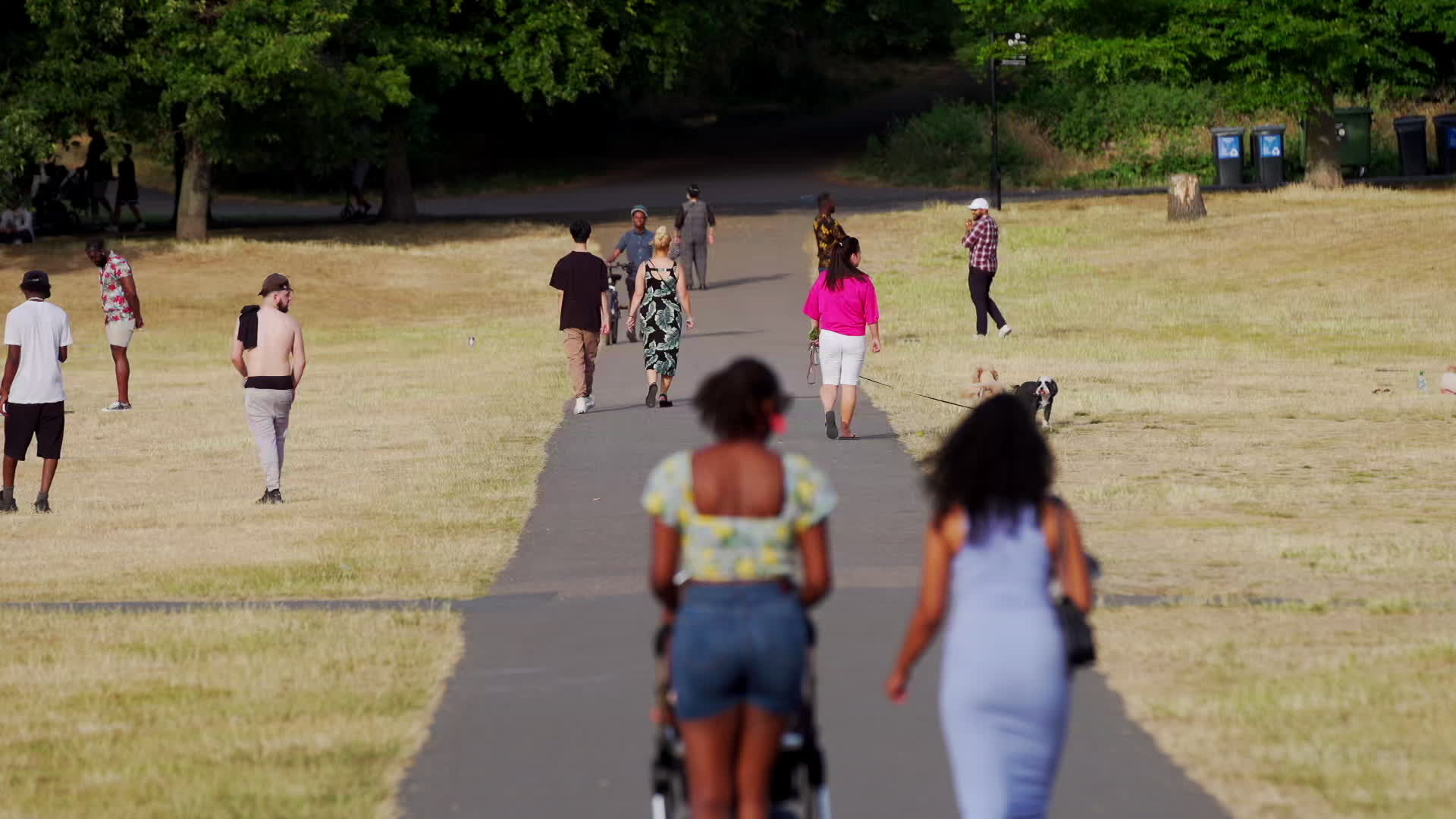 Greenwich Park in London During Heatwave