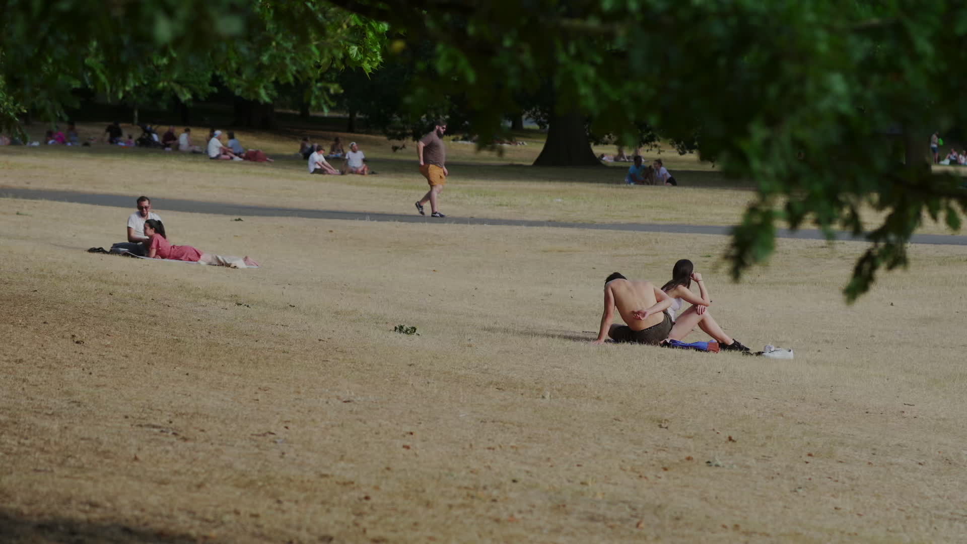 Greenwich Park in London During Heatwave