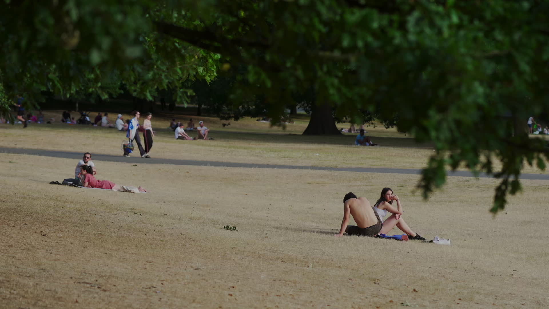 Greenwich Park in London During Heatwave