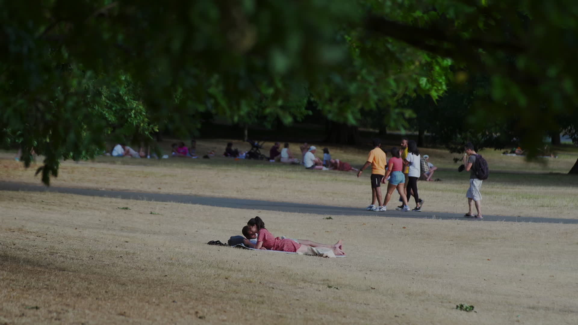 Greenwich Park in London During Heatwave