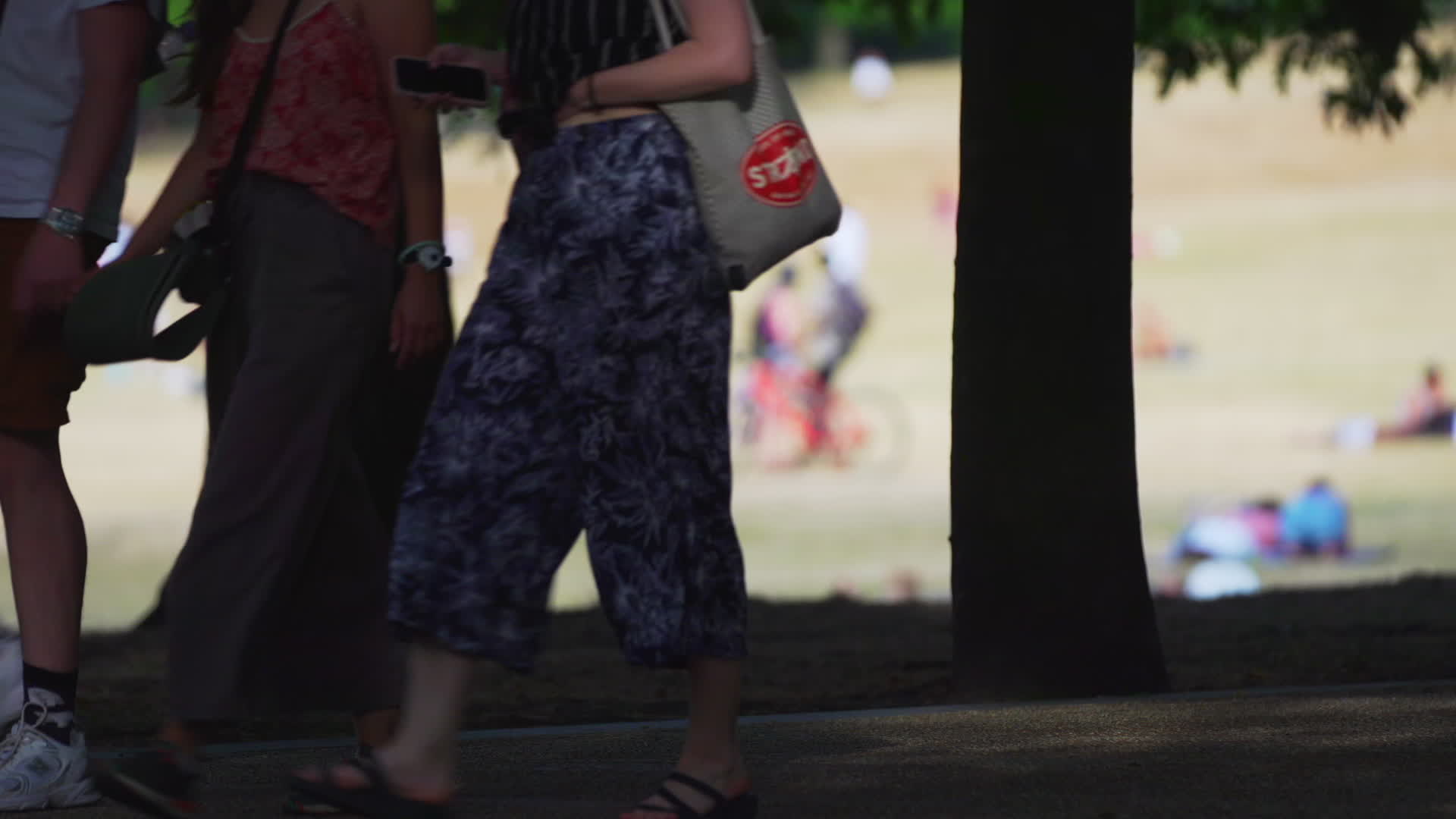 Greenwich Park in London During Heatwave
