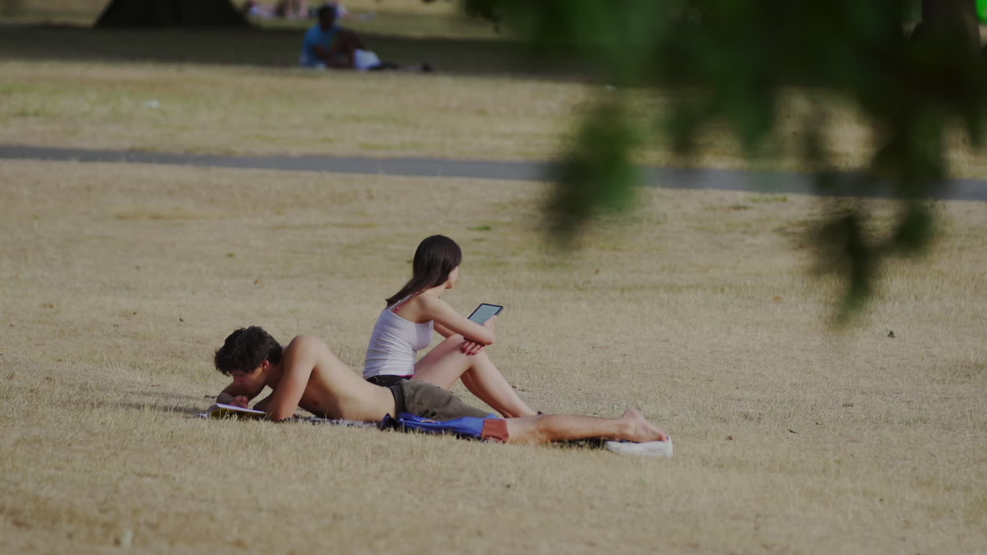 Greenwich Park in London During Heatwave