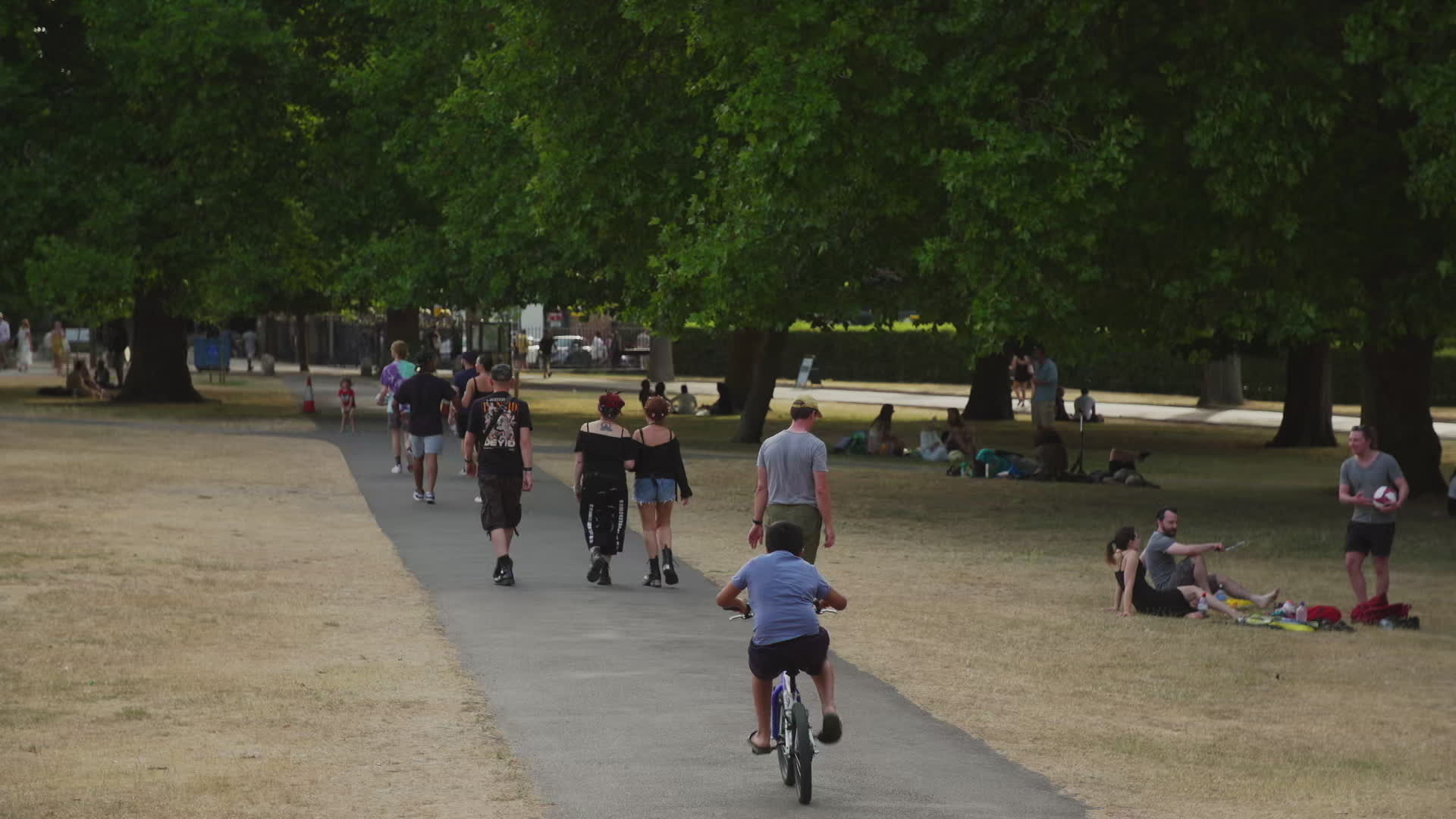 Greenwich Park in London During Heatwave