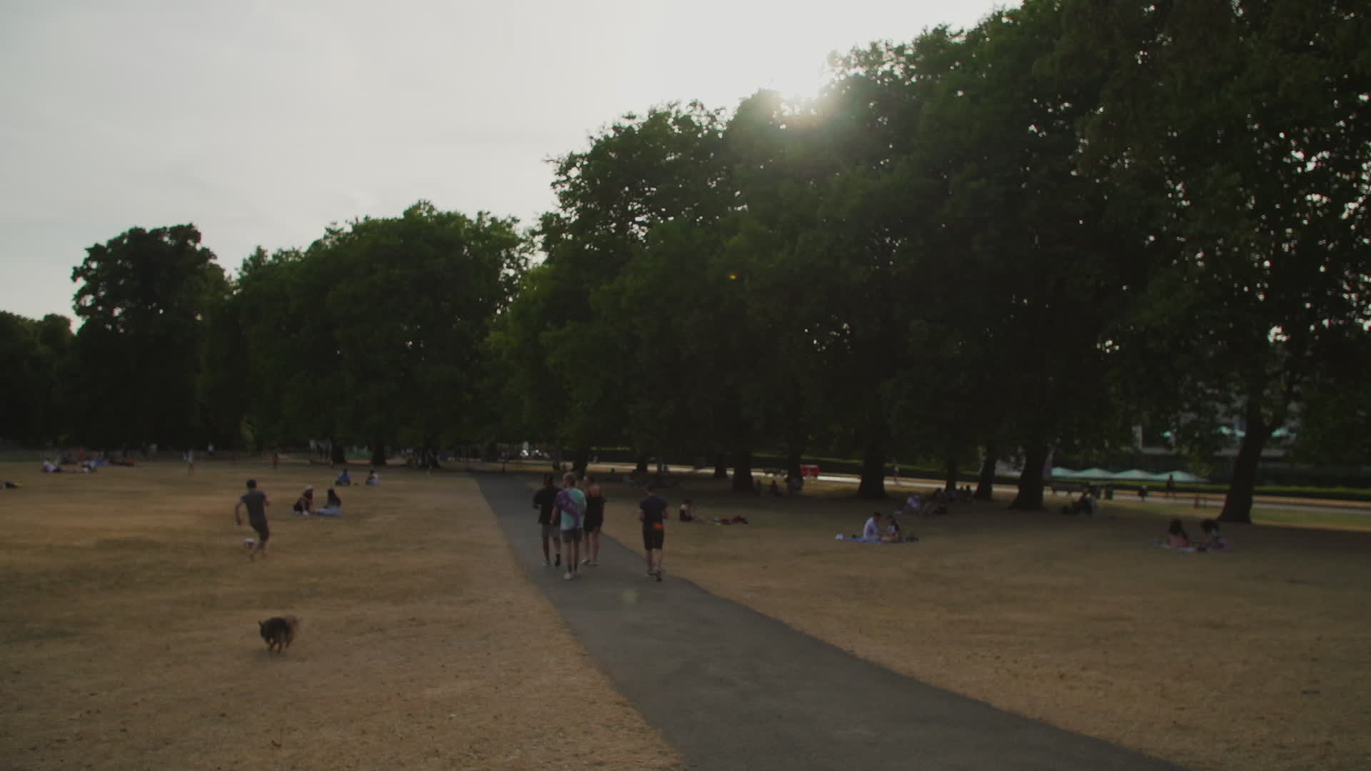 Greenwich Park in London During Heatwave